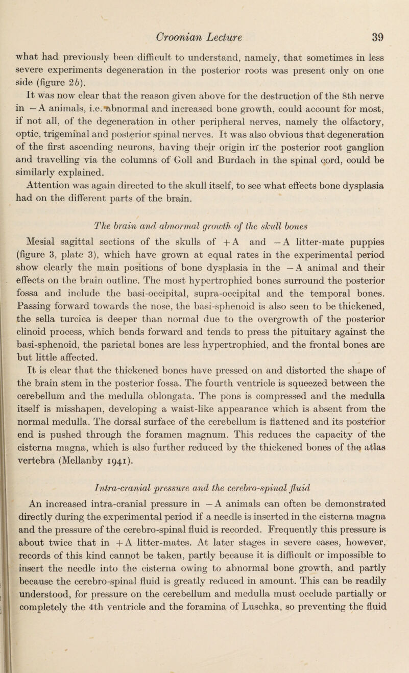 what had previously been difficult to understand, namely, that sometimes in less severe experiments degeneration in the posterior roots was present only on one side (figure 2 b). It was now clear that the reason given above for the destruction of the 8th nerve in — A animals, i.e. -abnormal and increased bone growth, could account for most, if not all, of the degeneration in other peripheral nerves, namely the olfactory, optic, trigeminal and posterior spinal nerves. It was also obvious that degeneration of the first ascending neurons, having their origin in' the posterior root ganglion and travelling via the columns of Goll and Burdach in the spinal cord, could be similarly explained. Attention was again directed to the skull itself, to see what effects bone dysplasia had on the different parts of the brain. The brain and abnormal growth of the skidl bones Mesial sagittal sections of the skulls of +A and —A litter-mate puppies (figure 3, plate 3), which have grown at equal rates in the experimental period show clearly the main positions of bone dysplasia in the —A animal and their effects on the brain outline. The most hypertrophied bones surround the posterior fossa and include the basi-occipital, supra-occipital and the temporal bones. Passing forward towards the nose, the basi-sphenoid is also seen to be thickened, the sella turcica is deeper than normal due to the overgrowth of the posterior clinoid process, which bends forward and tends to press the pituitary against the basi-sphenoid, the parietal bones are less hypertrophied, and the frontal bones are but little affected. It is clear that the thickened bones have pressed on and distorted the shape of the brain stem in the posterior fossa. The fourth ventricle is squeezed between the cerebellum and the medulla oblongata. The pons is compressed and the medulla itself is misshapen, developing a waist-like appearance which is absent from the normal medulla. The dorsal surface of the cerebellum is flattened and its posterior end is pushed through the foramen magnum. This reduces the capacity of the cisterna magna, which is also further reduced by the thickened bones of the atlas vertebra (Mellanby 1941). Intra-cranial pressure and the cerebro-spinal fluid An increased intra-cranial pressure in —A animals can often be demonstrated directly during the experimental period if a needle is inserted in the cisterna magna and the pressure of the cerebro-spinal fluid is recorded. Frequently this pressure is about twice that in +A litter-mates. At later stages in severe cases, however, records of this kind cannot be taken, partly because it is difficult or impossible to insert the needle into the cisterna owing to abnormal bone growth, and partly because the cerebro-spinal fluid is greatly reduced in amount. This can be readily understood, for pressure on the cerebellum and medulla must occlude partially or completely the 4th ventricle and the foramina of Luschka, so preventing the fluid