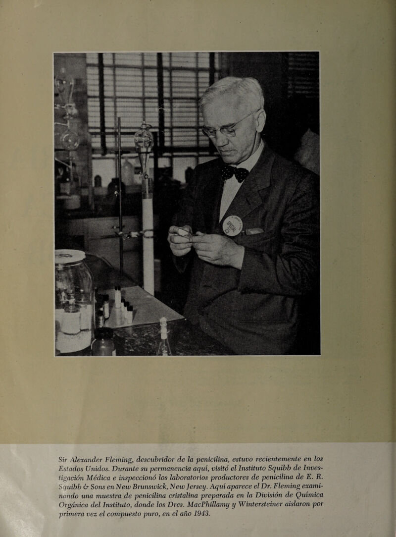 Sir Alexander Fleming, descubridor de la penicilina, estuvo recientemente en los Estados Unidos. Durante su permanencia aquí, visitó el Instituto Squibb de Inves¬ tigación Médica e inspeccionó los laboratorios productores de penicilina de E. R. Squibb ir Sons en New Brunswick, New Jersey. Aquí aparece el Dr. Fleming exami¬ nando una muestra de penicilina cristalina preparada en la División de Química Orgánica del Instituto, donde los Dres. MacPhillamy y Wintersteiner aislaron por primera vez el compuesto puro, en el año 1943.