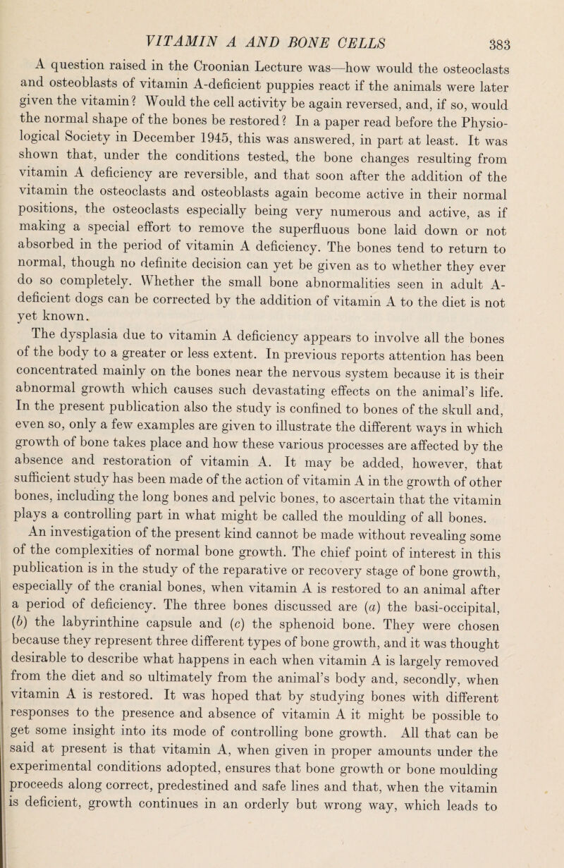 A question raised in the Croonian Lecture was—how would the osteoclasts and osteoblasts of vitamin A-deficient puppies react if the animals were later given the vitamin? Would the cell activity be again reversed, and, if so, would the normal shape of the bones be restored? In a paper read before the Physio¬ logical Society in December 1945, this was answered, in part at least. It was shown that, under the conditions tested, the bone changes resulting from vitamin A deficiency are reversible, and that soon after the addition of the vitamin the osteoclasts and osteoblasts again become active in their normal positions, the osteoclasts especially being very numerous and active, as if making a special effort to remove the superfluous bone laid down or not absorbed in the period of vitamin A deficiency. The bones tend to return to normal, though no definite decision can yet be given as to whether they ever do so completely. Whether the small bone abnormalities seen in adult A- deficient dogs can be corrected by the addition of vitamin A to the diet is not yet known. The dysplasia due to vitamin A deficiency appears to involve all the bones of the body to a greater or less extent. In previous reports attention has been concentrated mainly on the bones near the nervous system because it is their abnormal growth which causes such devastating effects on the animal’s life. In the present publication also the study is confined to bones of the skull and, even so, only a few examples are given to illustrate the different ways in which growth of bone takes place and how these various processes are affected by the absence and restoration of vitamin A. It may be added, however, that sufficient study has been made of the action of vitamin A in the growth of other bones, including the long bones and pelvic bones, to ascertain that the vitamin plays a controlling part in what might be called the moulding of all bones. An investigation of the present kind cannot be made without revealing some of the complexities of normal bone growth. The chief point of interest in this publication is in the study of the reparative or recovery stage of bone growth, especially of the cranial bones, when vitamin A is restored to an animal after a period of deficiency. The three bones discussed are (a) the basi-occipital, (6) the labyrinthine capsule and (c) the sphenoid bone. They were chosen j because they represent three different types of bone growth, and it was thought desirable to describe what happens in each when vitamin A is largely removed from the diet and so ultimately from the animal’s body and, secondly, when vitamin A is restored. It was hoped that by studying bones with different responses to the presence and absence of vitamin A it might be possible to get some insight into its mode of controlling bone growth. All that can be said at present is that vitamin A, when given in proper amounts under the experimental conditions adopted, ensures that bone growth or bone moulding proceeds along correct, predestined and safe lines and that, when the vitamin ! is deficient, growth continues in an orderly but wrong way, which leads to