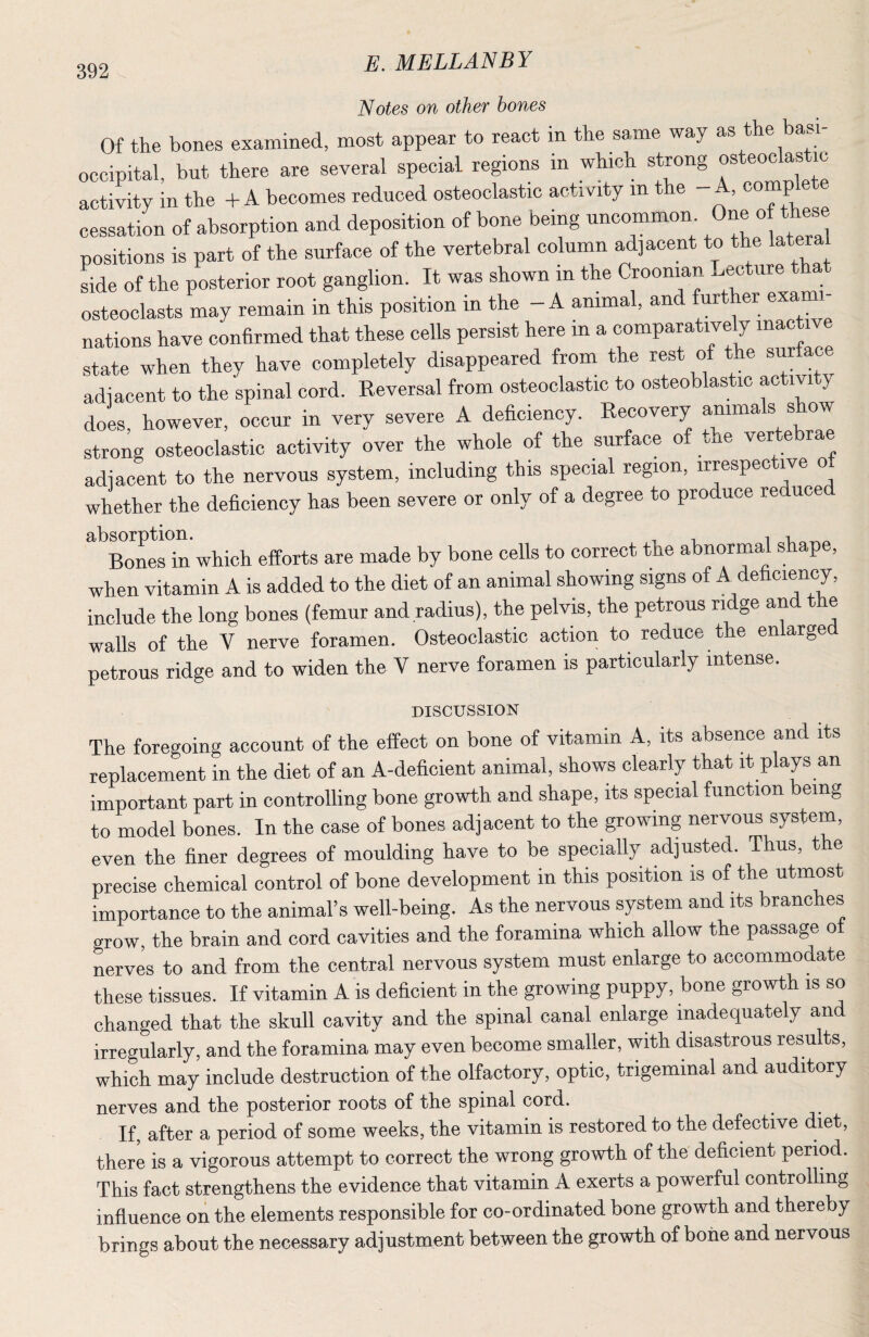 Notes on other bones Of the bones examined, most appear to react in the same way as the basi- occipital, but there are several special regions m which strong osteoclastic activity in the + A becomes reduced osteoclastic activity in the - , ® ® cessation of absorption and deposition of bone being uncommon positions is part of the surface of the vertebral column adjacent to the lateral Le of the posterior root ganglion. It was shown in the Croonian Lecture that osteoclasts may remain in this position in the - A animal, and further exami nations have confirmed that these cells persist here in a comparatively mact state when they have completely disappeared from the rest of the surface adjacent to the spinal cord. Eeversal from osteoclastic to osteoblastic activity does, however, occur in very severe A deficiency. Recovery animals show strong osteoclastic activity over the whole of the surface of tne vertebrae adjacent to the nervous system, including this special region, irrespec ive o whether the deficiency has been severe or only of a degree to produce reduced ^'^Bones in which efforts are made by bone cells to correct the abnormal shape, when vitamin A is added to the diet of an animal showing signs of A deficiency, include the long bones (femur and radius), the pelvis, the petrous ri ge an e walls of the V nerve foramen. Osteoclastic action to reduce the enlarged petrous ridge and to widen the V nerve foramen is particularly intense. DISCUSSION The foregoing account of the effect on bone of vitamin A, its absence and its replacement in the diet of an A-deficient animal, shows clearly that it plays an important part in controlling bone growth and shape, its special function being to model bones. In the case of bones adjacent to the growing nervous system, even the finer degrees of moulding have to be specially adjusted. Thus, the precise chemical control of bone development in this position is of the utmost importance to the animal’s well-being. As the nervous system and its branches grow, the brain and cord cavities and the foramina which allow the passage o nerves to and from the central nervous system must enlarge to accommodate these tissues. If vitamin A is deficient in the growing puppy, bone growth is so changed that the skull cavity and the spinal canal enlarge inadequately an irregularly, and the foramina may even become smaller, with disastrous results, which may include destruction of the olfactory, optic, trigeminal and auditory nerves and the posterior roots of the spinal cord. If, after a period of some weeks, the vitamin is restored to the defective diet, there is a vigorous attempt to correct the wrong growth of the deficient period. This fact strengthens the evidence that vitamin A exerts a powerful controlling infiuence on the elements responsible for co-ordinated bone growth and thereby brings about the necessary adjustment between the growth of bone and nervous