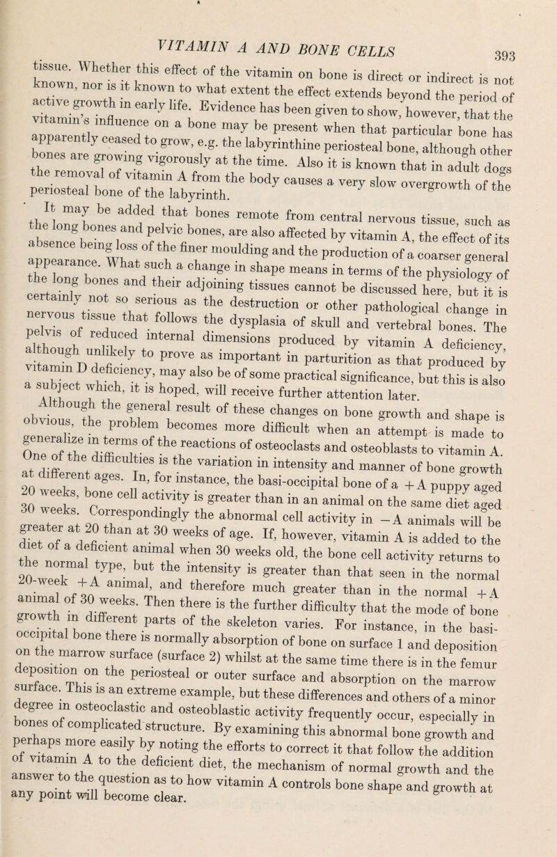 tissue. Whether this effect of the vitamin on bone is direct or indirect is not nown, nor IS rt known to what extent the effect extends beyond the period of active growth m early life. Evidence has been given to show, however that the vitamin s influence on a bone may be present when that particular bone h- apparently ceased to grow, e.g. the labyrinthine periosteal bone, although other bones are growing vigorously at the time. Also it is known th;t in aduli dol oer-’^T^rk Overgrowth of the periosteal bone of the labyrinth. It may be added that bones remote from central nervous tissue such as the long bones and pelvic bones, are also affected by vitamin A, the effect of its aprerancTwratf production of a coarser general certainly not so serious as the destruction or other pathological change in ne vous tissue that follows the dysplasia of skull and vertebral bon^ vitamin T) fi ' ^ ° important in parturition as that produced by a subject whicrT^’ ^-u® practical significance, but this is also a subject which, it is hoped, will receive further attention later ob^ltrfh of these changes on bone growth and shape is lous, the problem becomes more difficult when an attempt is made to OneTf Ihe diffirit^ osteoclasts and osteoblasts to vitamin A. at diff^ the variation in intensity and manner of bone growth 20 ^ instance, the basi-occipital bone of a + A puppy aged S Teeks Co ® diet a^ed greater at 20 30^ ^ f ® ^normal cell activity in -A animals will be diet of a riefi ' f vitamin A is added to the the norlj r' m etivity returns to 20 wel !- A ? i^he normal anirafofto therefore much greater than in the normal +A grrth 1 diffe t ? rt'® “°de of bone growth m different parts of the skeleton varies. For instance, in the basi- occipital bone there is normally absorption of bone on surface 1 and deposition on the marrow surface (surface 2) whilst at the same time there is in the femur surfece tV“ absorption on the marrow surface. This is an extreme example, but these differences and others of a minor ^0700° 1 T7® activity frequently occur, especially in bones of complicated structure. By examining this abnormal bone growth and oTvlmrrr? it that foUow the addition answr 7 ! ®*’ mechanism of normal growth and the any point wi^nZ de^r ^