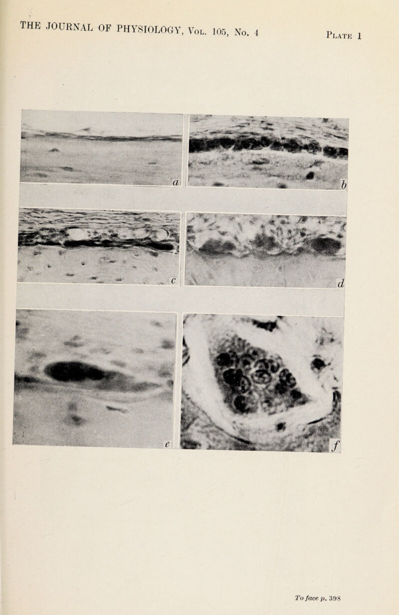 the journal of physiology, Vol. To face-p, 398