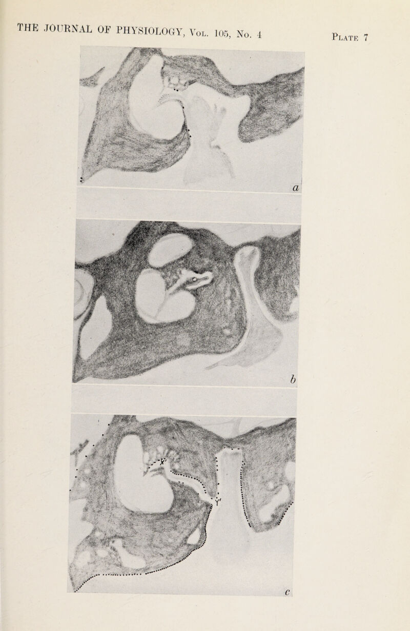 THE .TOITRNAL OF PHYSIOLOOY, Vol.