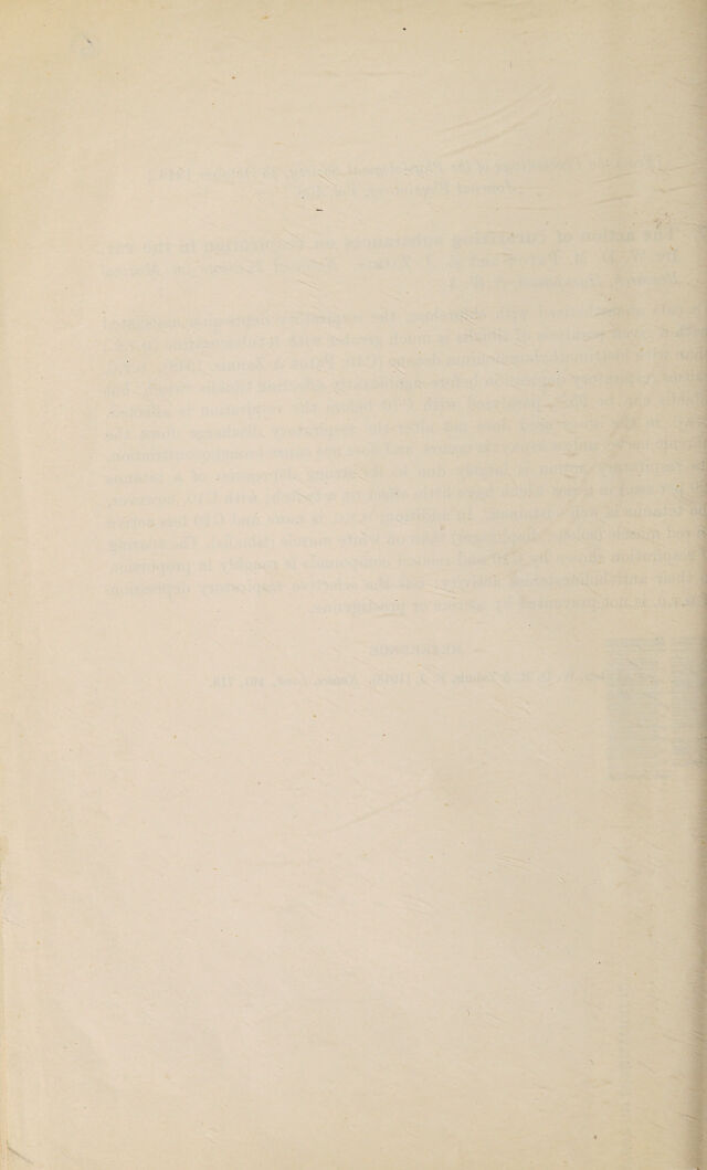 digitised image 2