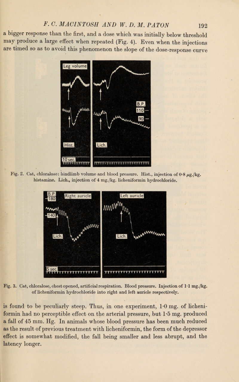 a bigger response than the first, and a dose which was initially below threshold may produce a large effect when repeated (Fig. 4). Even when the injections are timed so as to avoid this phenomenon the slope of the dose-response curve Fig. 2. Cat, chloralose: kindiimb volume and blood pressure. Hist., injection of 0-8 jag./kg. histamine. Lich., injection of 4 mg./kg. licheniformin hydrochloride. Fig. 3. Cat, chloralose, chest opened, artificial respiration. Blood pressure. Injection of l-l mg./kg. of licheniformin hydrochloride into right and left auricle respectively. is found to be peculiarly steep. Thus, in one experiment, 1*0 mg. of licheni¬ formin had no perceptible effect on the arterial pressure, but 1*5 mg. produced a fall of 45 mm. Hg. In animals whose blood presstire has been much reduced as the result of previous treatment with licheniformin, the form of the depressor effect is somewhat modified, the fall being smaller and less abrupt, and the latency longer.