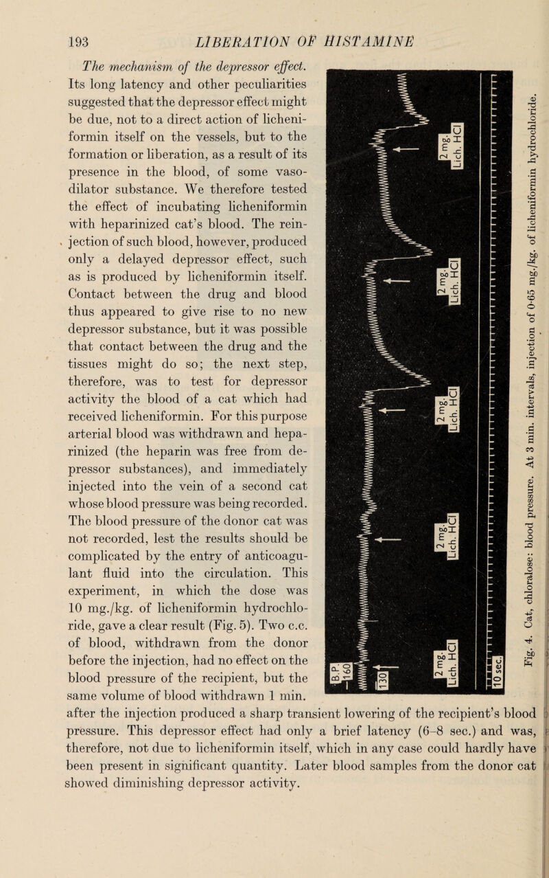 0 T3 S-i O © o £ (3 • pH a f-l c2 •a 0 4h O be M be a 1-0 ZD t+H o d o +3 o 0 03 s3 t> © •+3 d The mechanism of the depressor effect. Its long latency and other peculiarities suggested that the depressor effect might be due, not to a direct action of licheni- formin itself on the vessels, but to the formation or liberation, as a result of its presence in the blood, of some vaso¬ dilator substance. We therefore tested the effect of incubating licheniformin with heparinized cat’s blood. The rein¬ jection of such blood, however, produced only a delayed depressor effect, such as is produced by licheniformin itself. Contact between the drug and blood thus appeared to give rise to no new depressor substance, but it was possible that contact between the drug and the tissues might do so; the next step, therefore, was to test for depressor activity the blood of a cat which had received licheniformin. For this purpose arterial blood was withdrawn and hepa¬ rinized (the heparin was free from de¬ pressor substances), and immediately injected into the vein of a second cat whose blood pressure was being recorded. The blood pressure of the donor cat was not recorded, lest the results should be complicated by the entry of anticoagu¬ lant fluid into the circulation. This experiment, in which the dose was 10 mg./kg. of licheniformin hydrochlo¬ ride, gave a clear result (Fig. 5). Two c.c. of blood, withdrawn from the donor before the injection, had no effect on the blood pressure of the recipient but the same volume of blood withdrawn 1 min. after the injection produced a sharp transient lowering of the recipient’s blood pressure. This depressor effect had only a brief latency (6-8 sec.) and was, therefore, not due to licheniformin itself, which in any case could hardly have been present in significant quantity. Later blood samples from the donor cat showed diminishing depressor activity. •pH a CO +3 0 Sh 3 03 03 0 S-i A o o p-H -Q 0 m O c8 Sh o A o O b£> • pH