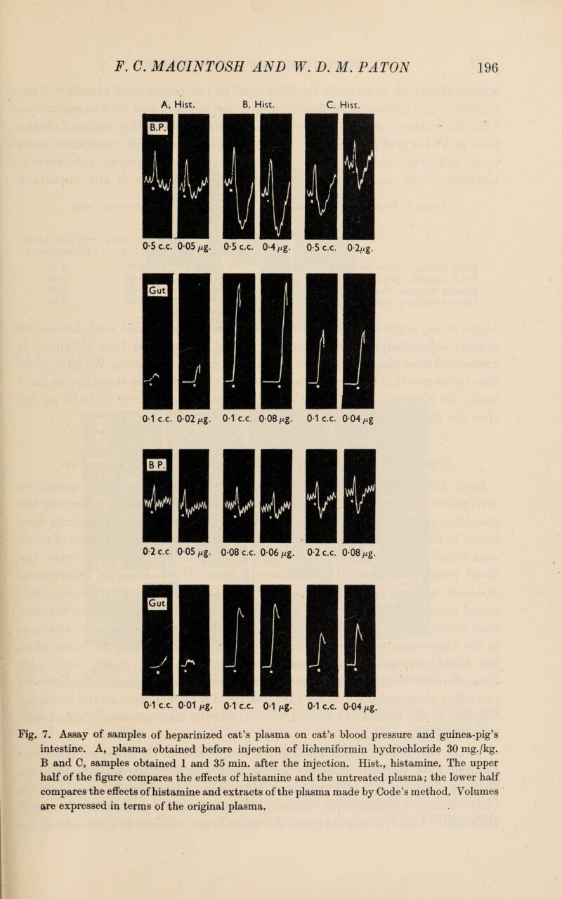 A. Hist. B, Hist. C. Hist. 0-5 c.c. 0 05 ng. 0-5 c.c. 0-4 fig. 0-5 c.c. 0-2/xg. 0*1 c.c. 0 02 fig. 0-1 c.c 00S fig. 0-1 c.c. 0 04 fig 0-2 c.c. 0 05 Mg. 0 08 c.c. 0 06 fig. 0-2 c.c. 0 08 fig. 0-1 c.c. 0 01 fig. 0-1 c.c. 0-1 fxg. 0-1 c.c. 0 04 fig. Fig. 7. Assay of samples of heparinized cat’s plasma on cat’s blood pressure and guinea-pig’s intestine. A, plasma obtained before injection of licheniformin hydrochloride 30 mg./kg. B and C, samples obtained 1 and 35 min. after the injection. Hist., histamine. The upper half of the figure compares the effects of histamine and the untreated plasma; the lower half compares the effects of histamine and extracts of the plasma made by Code’s method. Volumes are expressed in terms of the original plasma.