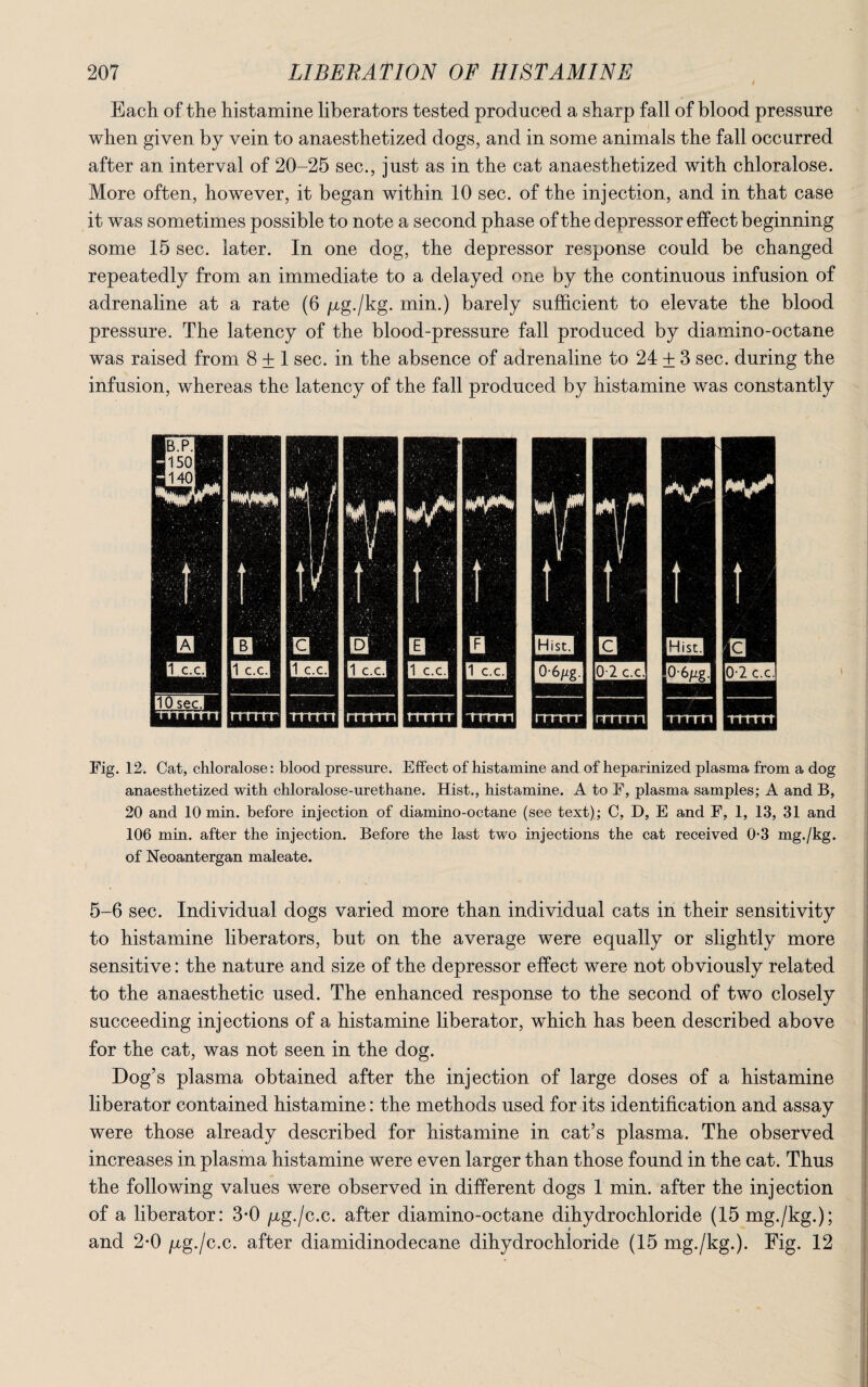 Each of the histamine liberators tested produced a sharp fall of blood pressure when given by vein to anaesthetized dogs, and in some animals the fall occurred after an interval of 20-25 sec., just as in the cat anaesthetized with chloralose. More often, however, it began within 10 sec. of the injection, and in that case it was sometimes possible to note a second phase of the depressor effect beginning some 15 sec. later. In one dog, the depressor response could be changed repeatedly from an immediate to a delayed one by the continuous infusion of adrenaline at a rate (6 /zg./kg. min.) barely sufficient to elevate the blood pressure. The latency of the blood-pressure fall produced by diamino-octane was raised from 8 + 1 sec. in the absence of adrenaline to 24 + 3 sec. during the infusion, whereas the latency of the fall produced by histamine was constantly Fig. 12. Cat, chloralose: blood pressure. Effect of histamine and of heparinized plasma from a dog anaesthetized with chloralose-urethane. Hist., histamine. A to F, plasma samples; A and B, 20 and 10 min. before injection of diamino-octane (see text); C, D, E and F, 1, 13, 31 and 106 min. after the injection. Before the last two injections the cat received 0-3 mg./kg. of Neoantergan maleate. 5-6 sec. Individual dogs varied more than individual cats in their sensitivity to histamine liberators, but on the average were equally or slightly more sensitive: the nature and size of the depressor effect were not obviously related to the anaesthetic used. The enhanced response to the second of two closely succeeding injections of a histamine liberator, which has been described above for the cat, was not seen in the dog. Dog’s plasma obtained after the injection of large doses of a histamine liberator contained histamine: the methods used for its identification and assay were those already described for histamine in cat’s plasma. The observed increases in plasma histamine were even larger than those found in the cat. Thus the following values were observed in different dogs 1 min. after the injection of a liberator: 3-0 pg./c.c. after diamino-octane dihydrochloride (15 mg./kg.); and 2-0 /xg./c.c. after diamidinodecane dihydrochloride (15 mg./kg.). Fig. 12
