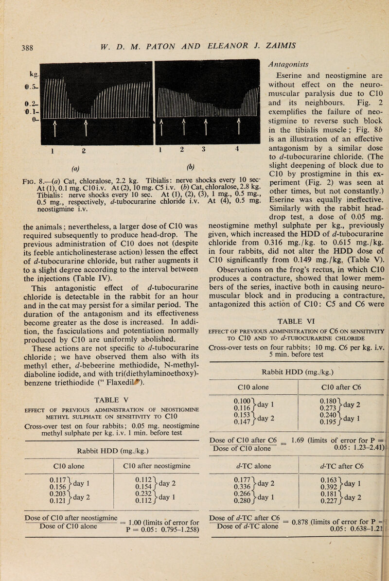 (a) (ty Fig. 8.-—(a) Cat, chloralose, 2.2 kg. Tibialis: nerve shocks every 10 sec- At (1), 0.1 mg. ClOi.v. At (2), 10 mg. C5 i.v. (b) Cat, chloralose, 2.8 kg. Tibialis: nerve shocks every 10 sec. At (1), (2), (3), 1 mg., 0.5 mg., 0.5 mg., respectively, J-tubocurarine chloride i.v. At (4), 0.5 mg. neostigmine i.v. the animals; nevertheless, a larger dose of CIO was required subsequently to produce head-drop. The previous administration of CIO does not (despite its feeble anticholinesterase action) lessen the effect of d-tubocurarine chloride, but rather augments it to a slight degree according to the interval between the injections (Table IV). This antagonistic effect of d-tubocurarine chloride is detectable in the rabbit for an hour and in the cat may persist for a similar period. The duration of the antagonism and its effectiveness become greater as the dose is increased. In addi¬ tion, the fasciculations and potentiation normally produced by CIO are uniformly abolished. These actions are not specific to d-tubocurarine chloride ; we have observed them also with its methyl ether, d-bebeerine methiodide, N-methyl- diaboline iodide, and with tri(diethylaminoethoxy)- benzene triethiodide (“ Flaxedil ”). TABLE V EFFECT OF PREVIOUS ADMINISTRATION OF NEOSTIGMINE METHYL SULPHATE ON SENSITIVITY TO CIO Cross-over test on four rabbits; 0.05 mg. neostigmine methyl sulphate per kg. i.v. 1 min. before test Rabbit HDD (mg./kg.) CIO alone CIO after neostigmine °-117^davl 0.156/day 1 0.2031 i ~ 0 i2i/day 2 0.112/, 2 0.154/day 2 0.232 j 0.112 /day 1 Dose of CIO after neostigmine 1 M r_r Dose of CIO alone — i /limits ui taut icu P = 0.05: 0.795-1.258) Antagonists Eserine and neostigmine are without effect on the neuro¬ muscular paralysis due to CIO and its neighbours. Fig. 2 exemplifies the failure of neo¬ stigmine to reverse such block in the tibialis muscle ; Fig. 8 b is an illustration of an effective antagonism by a similar dose to d-tubocurarine chloride. (The slight deepening of block due to CIO by prostigmine in this ex¬ periment (Fig. 2) was seen at other times, but not constantly.) Eserine was equally ineffective. Similarly with the rabbit head- drop test, a dose of 0.05 mg. neostigmine methyl sulphate per kg., previously given, which increased the HDD of d-tubocurarine chloride from 0.316 mg./kg. to 0.615 mg./kg. in four rabbits, did not alter the HDD dose of CIO significantly from 0.149 mg./kg. (Table V). Observations on the frog’s rectus, in which CIO produces a contracture, showed that lower mem¬ bers of the series, inactive both in causing neuro¬ muscular block and in producing a contracture, antagonized this action of CIO: C5 and C6 were TABLE VI EFFECT OF PREVIOUS ADMINISTRATION OF C6 ON SENSITIVITY TO CIO AND TO J-TUBOCURARINE CHLORIDE Cross-over tests on four rabbits; 10 mg. C6 per kg. i.v. 5 min. before test Rabbit HDD (mg./kg.) CIO alone CIO after C6 0.100\, , 0.116/day 1 0153 ^dav 2 0.147 /day 2 °-180^dav 2 0.273 fday 2 0.240 \ , ! 0.195Jday 1 Dose of CIO after C6 _ 1.69 (limits of error for P = Dose of CIO alone 0.05: 1.23-2.41) d-TC alone d-TC after C6 a336/day2 o:!o/day 1 0.163 \ - t 0.392/day 1 °*181^dav2 0.227/day 2 Dose of d-TC after C6 _ 0_0 .. ~ ——i- = 0.878 (limits of error for P = Dose of d-TC alone 0.05 : 0.638-1.21 /