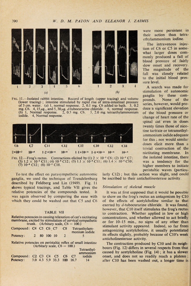 (a) (0 Fig. 11.—Isolated rabbit intestine. Record of length (upper tracing) and volume (lower tracing) ; intestine stimulated by rapid rise of intra-intestinal pressure of 3 cm. water, (a) 1, normal response. 2, 0.1 mg. C6 added to bath. 3, 0.2 mg. C6. 4,15 /xg., and 5, 30 fig. */-tubocurarine chloride. 6, normal response. (b) 1, Normal response. 2, 0.3 mg. C6. 3, 2.0 mg. tetraethylammonium iodide. 4, Normal response. C1I CIO 02 Mxl0-fc 14x10-* 10-fc Fig. 12.—Frog’s rectus. Contractions elicited by (1) 2 X 10~3 C6; (2) 10 4 C7; (3) 1.2 X 10-6C11; (4) 10 6 02; (5) 1.1 X 1Q-6C11; (6) 1.4 X 10-6C10; (7) 10-6 02; (8) 10-4 08. To test the effect on parasympathetic autonomic ganglia, we used the technique of Trendelenburg described by Feldberg and Lin (1949). Fig. 11 shows typical tracings, and Table VII gives the relative potencies of the compounds tested. It was again observed by comparing the ease with which they could be washed out that C5 and C6 TABLE VII Relative potencies in causing relaxation of cat’s nictitating membrane, excited by stimulation of cervical sympathetic trunk. (Arbitary scale, C6 = 100.) Compound: C4 C5 C6 C7 C8 Tetraethylam¬ monium iodide Potency: 2 80 100 10 2 5 Relative potencies on peristaltic reflex of small intestine (Arbitary scale, C6 — 100.) Tetraethyl- ammonium Compound: C2 C3 C4 C5 C6 C7 iodide Potency: 3.0 4.3 5.9 33.3 100 16.7 14 were more persistent in their action than tetra¬ ethylammonium iodine. The intravenous injec¬ tion of C6 or C5 in some¬ what larger doses com¬ monly produced a fall of blood pressure of fairly slow onset and recovery. The magnitude of the fall was closely related to the initial blood pres¬ sure level. A search was made for stimulation of autonomic ganglia by these com¬ pounds. None of the series, however, would pro¬ duce a significant elevation of the blood pressure or change of heart rate of the spinal cat even in doses twenty times those of nico¬ tine tartrate or tetramethyl- ammonium iodide adequate for this ; nor would similar doses elicit more than a trivial contraction of the nictitating membrane. In the isolated intestine, there was a tendency for the higher members to initiate peristaltic waves (particu¬ larly Cl2); but this action was slight, and could be ascribed to their anticholinesterase activity. Stimulation of skeletal muscle It was at first supposed that it would be possible to show on the frog’s rectus an antagonism by CIO of the effects of acetylcholine similar to that exerted by d-tubocurarine chloride. It was found, however, that CIO itself stimulates the frog’s rectus to contraction. Whether applied in low or high concentrations, and whether allowed to act briefly or for 10-15 min., no signs of any other than stimulant activity appeared. Indeed, so far from antagonizing acetylcholine, it usually potentiated its effects slightly, probably because of CIO’s weak anticholinesterase activity. The contraction produced by CIO and its neigh- l bours (Fig. 12) differs in several respects from that i caused by acetylcholine (Fig. 14); it has a slower : onset, and does not so readily reach a plateau ; after CIO has been washed out, a longer time is i