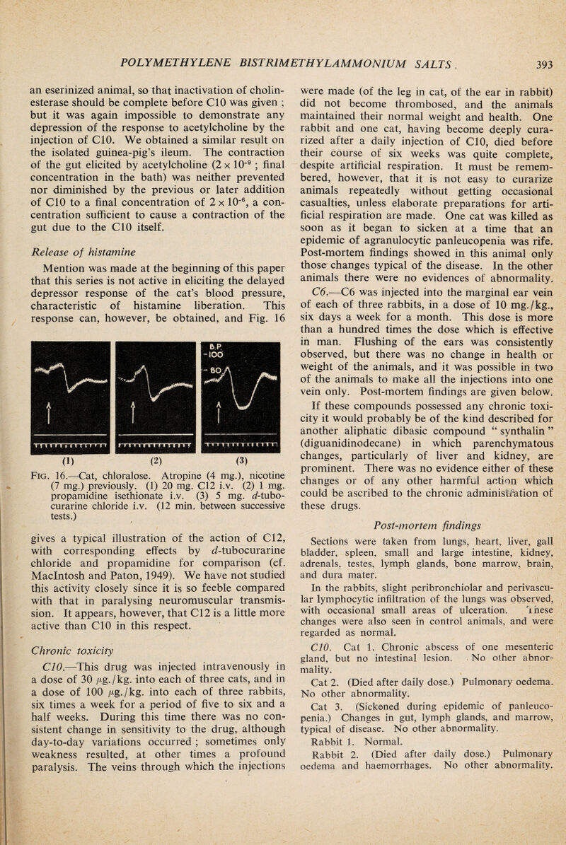 an eserinized animal, so that inactivation of cholin¬ esterase should be complete before CIO was given ; but it was again impossible to demonstrate any depression of the response to acetylcholine by the injection of CIO. We obtained a similar result on the isolated guinea-pig’s ileum. The contraction of the gut elicited by acetylcholine (2 x 10-9 ; final concentration in the bath) was neither prevented nor diminished by the previous or later addition of CIO to a final concentration of 2 x 106, a con¬ centration sufficient to cause a contraction of the gut due to the CIO itself. Release of histamine Mention was made at the beginning of this paper that this series is not active in eliciting the delayed depressor response of the cat’s blood pressure, characteristic of histamine liberation. This response can, however, be obtained, and Fig. 16 (1) (2) (3) Fig. 16.—Cat, chloralose. Atropine (4 mg.), nicotine (7 mg.) previously. (1) 20 mg. Cl2 i.v. (2) 1 mg. propamidine isethionate i.v. (3) 5 mg. d-tubo- curarine chloride i.v. (12 min. between successive tests.) gives a typical illustration of the action of Cl2, with corresponding effects by d-tubocurarine chloride and propamidine for comparison (cf. Macintosh and Paton, 1949). We have not studied this activity closely since it is so feeble compared with that in paralysing neuromuscular transmis¬ sion. It appears, however, that Cl2 is a little more active than CIO in this respect. Chronic toxicity CIO.—This drug was injected intravenously in a dose of 30 Mg./kg. into each of three cats, and in a dose of 100 Mg-/kg. into each of three rabbits, six times a week for a period of five to six and a half weeks. During this time there was no con¬ sistent change in sensitivity to the drug, although day-to-day variations occurred ; sometimes only weakness resulted, at other times a profound paralysis. The veins through which the injections were made (of the leg in cat, of the ear in rabbit) did not become thrombosed, and the animals maintained their normal weight and health. One rabbit and one cat, having become deeply cura- rized after a daily injection of CIO, died before their course of six weeks was quite complete, despite artificial respiration. It must be remem¬ bered, however, that it is not easy to curarize animals repeatedly without getting occasional casualties, unless elaborate preparations for arti¬ ficial respiration are made. One cat was killed as soon as it began to sicken at a time that an epidemic of agranulocytic panleucopenia was rife. Post-mortem findings showed in this animal only those changes typical of the disease. In the other animals there were no evidences of abnormality. C6.—C6 was injected into the marginal ear vein of each of three rabbits, in a dose of 10 mg./kg., six days a week for a month. This dose is more than a hundred times the dose which is effective in man. Flushing of the ears was consistently observed, but there was no change in health or weight of the animals, and it was possible in two of the animals to make all the injections into one vein only. Post-mortem findings are given below. If these compounds possessed any chronic toxi¬ city it would probably be of the kind described for another aliphatic dibasic compound “ synthalin ” (diguanidinodecane) in which parenchymatous changes, particularly of liver and kidney, are prominent. There was no evidence either of these changes or of any other harmful action which could be ascribed to the chronic administration of these drugs. Post-mortem findings Sections were taken from lungs, heart, liver, gall bladder, spleen, small and large intestine, kidney, adrenals, testes, lymph glands, bone marrow, brain, and dura mater. In the rabbits, slight peribronchiolar and perivascu¬ lar lymphocytic infiltration of the lungs was observed, with occasional small areas of ulceration. lhese changes were also seen in control animals, and were regarded as normal. CIO. Cat 1. Chronic abscess of one mesenteric gland, but no intestinal lesion. No other abnor¬ mality. Cat 2. (Died after daily dose.) Pulmonary oedema. No other abnormality. Cat 3. (Sickened during epidemic of panleuco¬ penia.) Changes in gut, lymph glands, and marrow, typical of disease. No other abnormality. Rabbit 1. Normal. Rabbit 2. (Died after daily dose.) Pulmonary oedema and haemorrhages. No other abnormality.