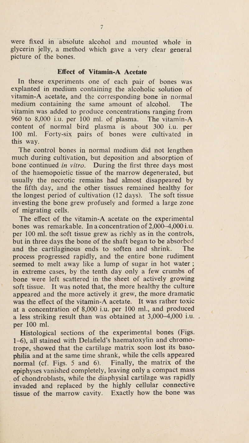 were fixed in absolute alcohol and mounted whole in glycerin jelly, a method which gave a very clear general picture of the bones. A Effect of Vitamin-A Acetate In these experiments one of each pair of bones was explanted in medium containing the alcoholic solution of vitamin-A acetate, and the corresponding bone in normal medium containing the same amount of alcohol. The vitamin was added to produce concentrations ranging from 960 to 8,000 i.u. per 100 ml. of plasma. The vitamin-A content of normal bird plasma is about 300 i.u. per 100 ml. Forty-six pairs of bones were cultivated in this way. The control bones in normal medium did not lengthen much during cultivation, but deposition and absorption of bone continued in vitro. During the first three days most of the haemopoietic tissue of the marrow degenerated, but usually the necrotic remains had almost disappeared by the fifth day, and the other tissues remained healthy for the longest period of cultivation (12 days). The soft tissue investing the bone grew profusely and formed a large zone of migrating cells. The effect of the vitamin-A acetate on the experimental bones was remarkable. In a concentration of 2,000-4,000 i.u. per 100 ml. the soft tissue grew as richly as in the controls, but in three days the bone of the shaft began to be absorbed and the cartilaginous ends to soften and shrink. The process progressed rapidly, and the entire bone rudiment seemed to melt away like a lump of sugar in hot water ; in extreme cases, by the tenth day only a few crumbs of bone were left scattered in the sheet of actively growing soft tissue. It was noted that, the more healthy the culture appeared and the more actively it grew, the more dramatic was the effect of the vitamin-A acetate. It was rather toxic at a concentration of 8,000 i.u. per 100 ml., and produced a less striking result than was obtained at 3,000-4,000 i.u. . per 100 ml. Histological sections of the experimental bones (Figs. 1-6), all stained with Delafield’s haematoxylin and chromo¬ trope, showed that the cartilage matrix soon lost its baso¬ philia and at the same time shrank, while the cells appeared normal (cf. Figs. 5 and 6). Finally, the matrix of the epiphyses vanished completely, leaving only a compact mass of chondroblasts, while the diaphysial cartilage was rapidly invaded and replaced by the highly cellular connective tissue of the marrow cavity. Exactly how the bone was
