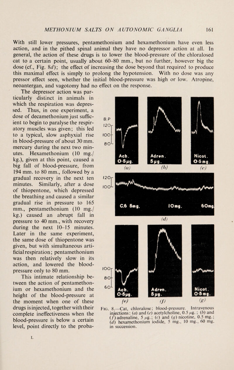 IOO- Adr#n 5pg. (b) Nicot. 0-5 mg. (c) With still lower pressures, pentamethonium and hexamethonium have even less action, and in the pithed spinal animal they have no depressor action at all. In general, the action of these drugs is to lower the blood-pressure of the chloralosed cat to a certain point, usually about 60-80 mm., but no further, however big the dose (cf., Fig. 8t/); the effect of increasing the dose beyond that required to produce this maximal effect is simply to prolong the hypotension. With no dose was any pressor effect seen, whether the initial blood-pressure was high or low. Atropine, neoantergan, and vagotomy had no effect on the response. The depressor action was par¬ ticularly distinct in animals in which the respiration was depres¬ sed. Thus, in one experiment, a dose of decamethonium just suffic¬ ient to begin to paralyse the respir¬ atory muscles was given; this led to a typical, slow asphyxial rise in blood-pressure of about 30 mm. mercury during the next two min¬ utes. Flexamethonium (10 mg./ kg.), given at this point, caused a big fall of blood-pressure, from 194 mm. to 80 mm., followed by a gradual recovery in the next ten minutes. Similarly, after a dose of thiopentone, which depressed the breathing and caused a similar gradual rise in pressure to 165 mm., pentamethonium (10 mg./ kg.) caused an abrupt fall in pressure to 40 mm., with recovery during the next 10-15 minutes. Later in the same experiment, the same dose of thiopentone was given, but with simultaneous arti¬ ficial respiration; pentamethonium was then relatively slow in its action, and lowered the blood- pressure only to 80 mm. This intimate relationship be¬ tween the action of pentamethon¬ ium or hexamethonium and the height of the blood-pressure at the moment when one of these drugs is injected, together with their complete ineffectiveness when the blood-pressure is below a certain level, point directly to the proba- I20r IOOL C.6 5m g. IOmg, 60mg (ib lOOr 80- 60 V Ach. 0*5pg. {*) Nicot. 0*5mg. (fi) Fig. 8.—Cat, chloralose; blood-pressure. Intravenous injections: (a) and (e) acetylcholine, 0.5 ^g.; (b) and (f) adrenaline, 5 n g.; (c) and (g) nicotine, 0.5 mg.; (d) hexamethonium iodide, 5 mg., 10 mg., 60 mg. in succession. L