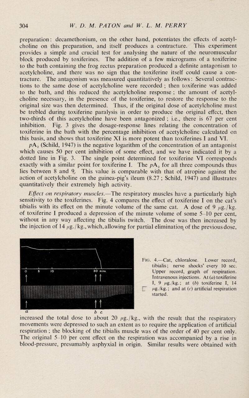 preparation: decamethonium, on the other hand, potentiates the effects of acetyl¬ choline on this preparation, and itself produces a contracture. This experiment provides a simple and crucial test for analysing the nature of the neuromuscular block produced by toxiferines. The addition of a few micrograms of a toxiferine to the bath containing the frog rectus preparation produced a definite antagonism to acetylcholine, and there was no sign that the toxiferine itself could cause a con¬ tracture. The antagonism was measured quantitatively as follows: Several contrac¬ tions to the same dose of acetylcholine were recorded ; then toxiferine was added to the bath, and this reduced the acetylcholine response ; the amount of acetyl¬ choline necessary, in the presence of the toxiferine, to restore the response to the original size was then determined. Thus, if the original dose of acetylcholine must be trebled during toxiferine paralysis in order to produce the original effect, then two-thirds of this acetylcholine have been antagonized ; i.e., there is 67 per cent inhibition. Fig. 3 gives the dosage-response lines relating the concentration of toxiferine in the bath with the percentage inhibition of acetylcholine calculated on this basis, and shows that toxiferine XI is more potent than toxiferines I and VI. pA2 (Schild, 1947) is the negative logarithm of the concentration of an antagonist which causes 50 per cent inhibition of some effect, and we have indicated it by a dotted line in Fig. 3. The single point determined for toxiferine VI corresponds exactly with a similar point for toxiferine I. The pA2 for all three compounds thus lies between 8 and 9. This value is comparable with that of atropine against the action of acetylcholine on the guinea-pig’s ileum (8.27 ; Schild, 1947) and illustrates quantitatively their extremely high activity. Effect on respiratory muscles.—The respiratory muscles have a particularly high sensitivity to the toxiferines. Fig. 4 compares the effect of toxiferine I on the cat’s tibialis with its effect on the minute volume of the same cat. A dose of 9 /xg./kg. of toxiferine I produced a depression of the minute volume of some 5-10 per cent, without in any way affecting the tibialis twitch. The dose was then increased by the injection of 14 /xg./ kg., which, allowing for partial elimination of the previous dose. Fig. 4.—Cat, chloralose. Lower record, tibialis; nerve shocks every 10 sec. Upper record, graph of respiration. Intravenous injections. At (a) toxiferine I, 9 ^g./kg.; at (b) toxiferine I, 14 /xg./kg.; and at (c) artificial respiration started. increased the total dose to about 20 /xg./kg., with the result that the respiratory movements were depressed to such an extent as to require the application of artificial respiration ; the blocking of the tibialis muscle was of the order of 40 per cent only. The original 5-10 per cent effect on the respiration was accompanied by a rise in blood-pressure, presumably asphyxial in origin. Similar results were obtained with