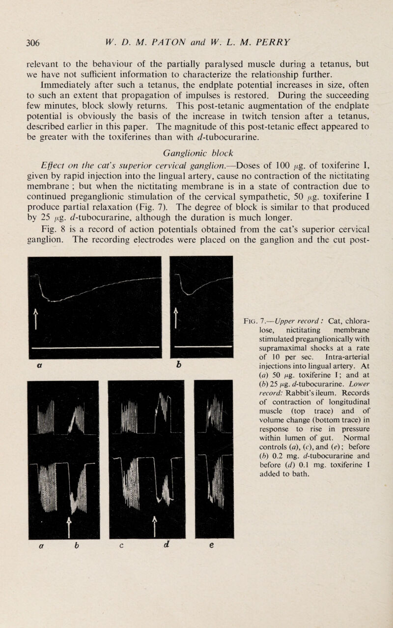 relevant to the behaviour of the partially paralysed muscle during a tetanus, but we have not sufficient information to characterize the relationship further. Immediately after such a tetanus, the endplate potential increases in size, often to such an extent that propagation of impulses is restored. During the succeeding few minutes, block slowly returns. This post-tetanic augmentation of the endplate potential is obviously the basis of the increase in twitch tension after a tetanus, described earlier in this paper. The magnitude of this post-tetanic effect appeared to be greater with the toxiferines than with d-tubocurarine. Ganglionic block Effect on the cat's superior cervical ganglion.—Doses of 100 fig. of toxiferine I, given by rapid injection into the lingual artery, cause no contraction of the nictitating membrane ; but when the nictitating membrane is in a state of contraction due to continued preganglionic stimulation of the cervical sympathetic, 50 fig. toxiferine I produce partial relaxation (Fig. 7). The degree of block is similar to that produced by 25 fig. <i-tubocurarine, although the duration is much longer. Fig. 8 is a record of action potentials obtained from the cat’s superior cervical ganglion. The recording electrodes were placed on the ganglion and the cut post- Fig. 7.—Upper record: Cat, chlora- lose, nictitating membrane stimulated preganglionically with supramaximal shocks at a rate of 10 per sec. Intra-arterial injections into lingual artery. At (a) 50 pg. toxiferine I; and at (b) 25 pg. i/-tubocurarine. Lower record: Rabbit’s ileum. Records of contraction of longitudinal muscle (top trace) and of volume change (bottom trace) in response to rise in pressure within lumen of gut. Normal controls {a), (c), and (e); before (b) 0.2 mg. <7-tubocurarine and before (d) 0.1 mg. toxiferine I added to bath.