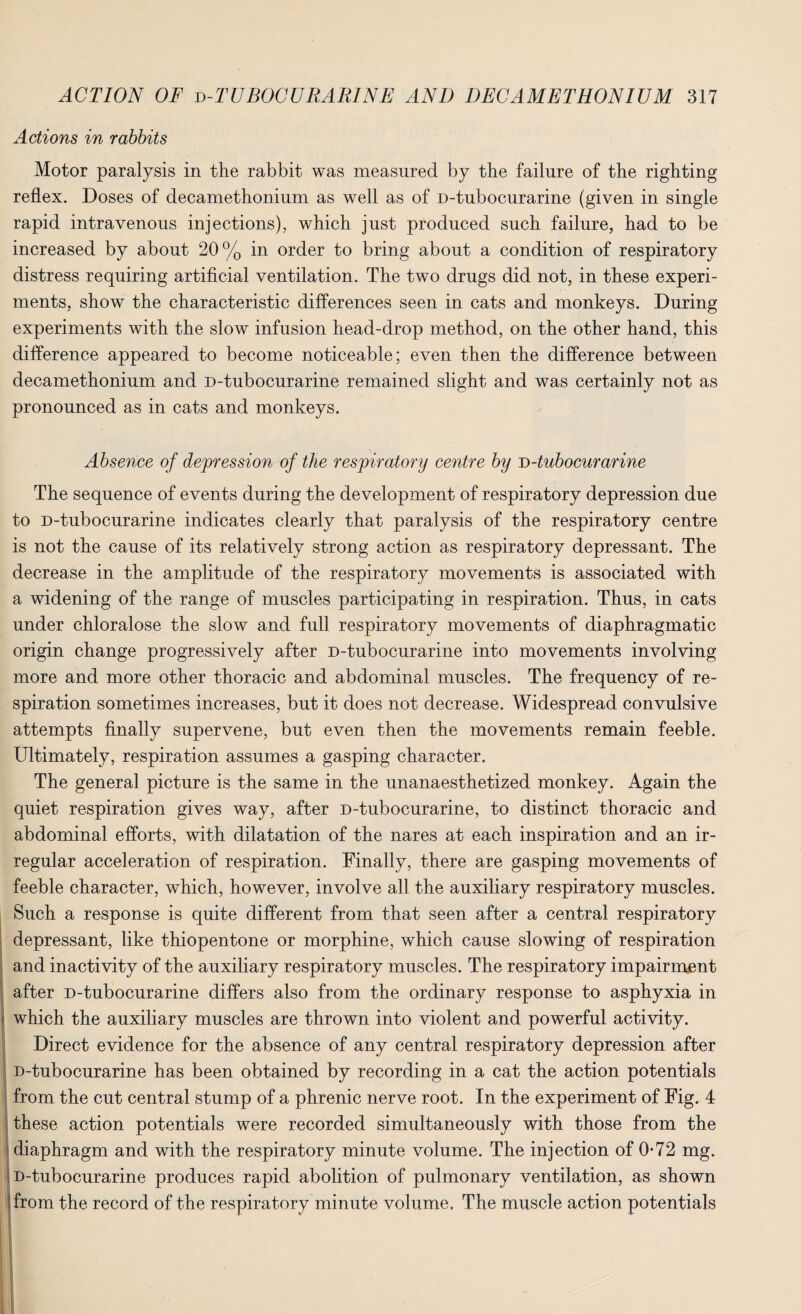 Actions in rabbits Motor paralysis in the rabbit was measured by the failure of the righting reflex. Doses of decamethonium as well as of D-tubocurarine (given in single rapid intravenous injections), which just produced such failure, had to be increased by about 20% in order to bring about a condition of respiratory distress requiring artificial ventilation. The two drugs did not, in these experi¬ ments, show the characteristic differences seen in cats and monkeys. During experiments with the slow infusion head-drop method, on the other hand, this difference appeared to become noticeable; even then the difference between decamethonium and D-tubocurarine remained slight and was certainly not as pronounced as in cats and monkeys. Absence of depression of the respiratory centre by D-tubocurarine The sequence of events during the development of respiratory depression due to D-tubocurarine indicates clearly that paralysis of the respiratory centre is not the cause of its relatively strong action as respiratory depressant. The decrease in the amplitude of the respiratory movements is associated with a widening of the range of muscles participating in respiration. Thus, in cats under chloralose the slow and full respiratory movements of diaphragmatic origin change progressively after D-tubocurarine into movements involving more and more other thoracic and abdominal muscles. The frequency of re¬ spiration sometimes increases, but it does not decrease. Widespread convulsive attempts finally supervene, but even then the movements remain feeble. Ultimately, respiration assumes a gasping character. The general picture is the same in the unanaesthetized monkey. Again the quiet respiration gives way, after D-tubocurarine, to distinct thoracic and abdominal efforts, with dilatation of the nares at each inspiration and an ir¬ regular acceleration of respiration. Finally, there are gasping movements of feeble character, which, however, involve all the auxiliary respiratory muscles. Such a response is quite different from that seen after a central respiratory depressant, like thiopentone or morphine, which cause slowing of respiration and inactivity of the auxiliary respiratory muscles. The respiratory impairment after D-tubocurarine differs also from the ordinary response to asphyxia in which the auxiliary muscles are thrown into violent and powerful activity. Direct evidence for the absence of any central respiratory depression after D-tubocurarine has been obtained by recording in a cat the action potentials from the cut central stump of a phrenic nerve root. In the experiment of Fig. 4 these action potentials were recorded simultaneously with those from the diaphragm and with the respiratory minute volume. The injection of 0*72 mg. D-tubocurarine produces rapid abolition of pulmonary ventilation, as shown 'from the record of the respiratory minute volume. The muscle action potentials