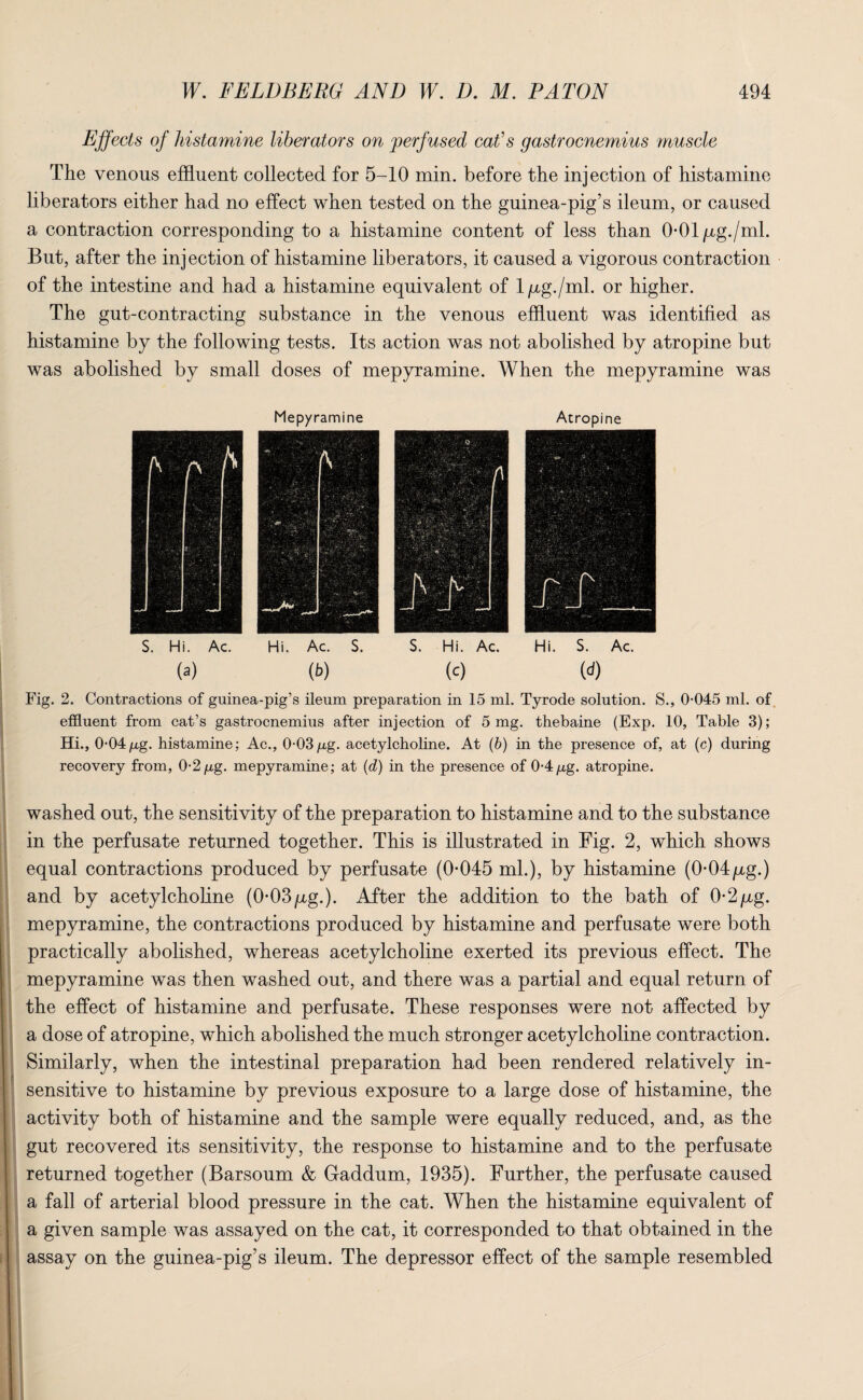 Effects of histamine liberators on perfused cat’s gastrocnemius muscle The venous effluent collected for 5-10 min. before the injection of histamine liberators either had no effect when tested on the guinea-pig’s ileum, or caused a contraction corresponding to a histamine content of less than O-Olpg./ml. But, after the injection of histamine liberators, it caused a vigorous contraction of the intestine and had a histamine equivalent of 1 /xg./ml. or higher. The gut-contracting substance in the venous effluent was identified as histamine by the following tests. Its action was not abolished by atropine but was abolished by small doses of mepyramine. When the mepyramine was Mepyramine Atropine S. Hi. Ac. Hi. Ac. S. S. Hi. Ac. Hi. S. Ac. (a) (b) (c) (d) Fig. 2. Contractions of guinea-pig’s ileum preparation in 15 ml. Tyrode solution. S., 0-045 ml. of effluent from cat’s gastrocnemius after injection of 5 mg. thebaine (Exp. 10, Table 3); Hi., 0-04/xg. histamine; Ac., 0-03/xg. acetylcholine. At (b) in the presence of, at (c) during recovery from, 0-2 /xg. mepyramine; at (d) in the presence of 0-4/xg. atropine. washed out, the sensitivity of the preparation to histamine and to the substance in the perfusate returned together. This is illustrated in Fig. 2, which shows equal contractions produced by perfusate (0*045 ml.), by histamine (0*04/xg.) and by acetylcholine (0-03/xg.). After the addition to the bath of 0-2/xg. mepyramine, the contractions produced by histamine and perfusate were both practically abolished, whereas acetylcholine exerted its previous effect. The mepyramine was then washed out, and there was a partial and equal return of the effect of histamine and perfusate. These responses were not affected by a dose of atropine, which abolished the much stronger acetylcholine contraction. Similarly, when the intestinal preparation had been rendered relatively in¬ sensitive to histamine by previous exposure to a large dose of histamine, the activity both of histamine and the sample were equally reduced, and, as the gut recovered its sensitivity, the response to histamine and to the perfusate returned together (Barsoum & Gaddum, 1935). Further, the perfusate caused a fall of arterial blood pressure in the cat. When the histamine equivalent of a given sample was assayed on the cat, it corresponded to that obtained in the assay on the guinea-pig’s ileum. The depressor effect of the sample resembled