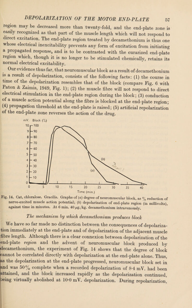 region may be decreased more than twenty-fold, and the end-plate zone is easily recognized as that part of the muscle length which will not respond to direct excitation. The end-plate region treated by decamethoninm is thus one whose electrical inexcitability prevents any form of excitation from initiating a propagated response, and is to be contrasted with the curarized end-plate region which, though it is no longer to be stimulated chemically, retains its normal electrical excitability. Our evidence thus far, that neuromuscular block as a result of decamethonium is a result of depolarization, consists of the following facts: (1) the course in time of the depolarization resembles that of the block (compare Fig. 6 with Paton & Zaimis, 1949, Fig. 1); (2) the muscle fibre will not respond to direct electrical stimulation in the end-plate region during the block; (3) conduction of a muscle action potential along the fibre is blocked at the end-plate region; (4) propagation threshold at the end-plate is raised; (5) artificial repolarization of the end-plate zone reverses the action of the drug. mV. Block (%) Fig. 14. Cat, chloralose. Gracilis. Graphs of (a) degree of neuromuscular block, as % reduction of nerve-excited muscle action potential; (b) depolarization of end-plate region (in millivolts), against time in minutes. At 6 min. 40 pg./kg. decamethonium intravenously. The mechanism by which decamethonium produces block We have so far made no distinction between the consequences of depolariza¬ tion immediately at the end-plate and of depolarization of the adjacent muscle fibre length. Although there is a clear connexion between depolarization of the end-plate region and the advent of neuromuscular block produced by decamethonium, the experiment of Fig. 14 shows that the degree of block cannot be correlated directly with depolarization at the end-plate alone. Thus, as the depolarization at the end-plate progressed, neuromuscular block set in and was 50% complete when a recorded depolarization of 8-4 mV. had been attained, and the block increased rapidly as the depolarization continued, oeing virtually abolished at 10-0 mV. depolarization. During repolarization,