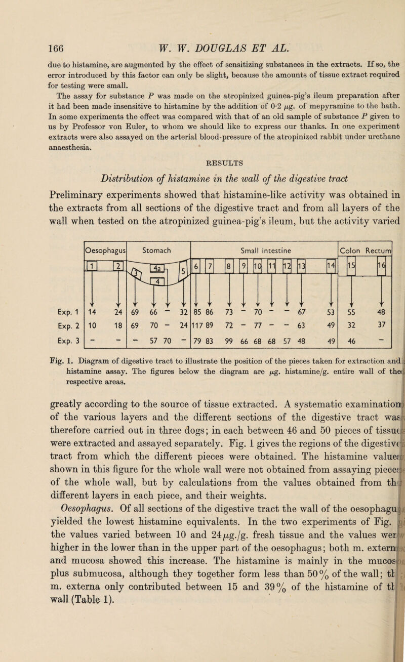 due to histamine, are augmented by the effect of sensitizing substances in the extracts. If so, the error introduced by this factor can only be slight, because the amounts of tissue extract required for testing were small. The assay for substance P was made on the atropinized guinea-pig’s ileum preparation after it had been made insensitive to histamine by the addition of 0-2 fig. of mepyramine to the bath. In some experiments the effect was compared with that of an old sample of substance P given to us by Professor von Euler, to whom we should like to express our thanks. In one experiment extracts were also assayed on the arterial blood-pressure of the atropinized rabbit under urethane anaesthesia. EESULTS Distribution of histamine in the wall of the digestive tract Preliminary experiments showed that histamine-like activity was obtained in the extracts from all sections of the digestive tract and from all layers of the wall when tested on the atropinized guinea-pig’s ileum, but the activity varied Fig. 1. Diagram of digestive tract to illustrate the position of the pieces taken for extraction and ; histamine assay. The figures below the diagram are fig. histamine/g. entire wall of the: respective areas. greatly according to the source of tissue extracted. A systematic examination of the various layers and the different sections of the digestive tract was therefore carried out in three dogs; in each between 46 and 50 pieces of tissue were extracted and assayed separately. Fig. 1 gives the regions of the digestive tract from which the different pieces were obtained. The histamine valuedr. shown in this figure for the whole wall were not obtained from assaying piece.*: of the whole wall, but by calculations from the values obtained from then different layers in each piece, and their weights. Oesophagus. Of all sections of the digestive tract the wall of the oesophagu; yielded the lowest histamine equivalents. In the two experiments of Fig. ; the values varied between 10 and 24pg./g. fresh tissue and the values wei higher in the lower than in the upper part of the oesophagus; both m. externj and mucosa showed this increase. The histamine is mainly in the mucosa plus submucosa, although they together form less than 50 % of the wall; tl m. externa only contributed between 15 and 39% of the histamine of tl wall (Table 1).