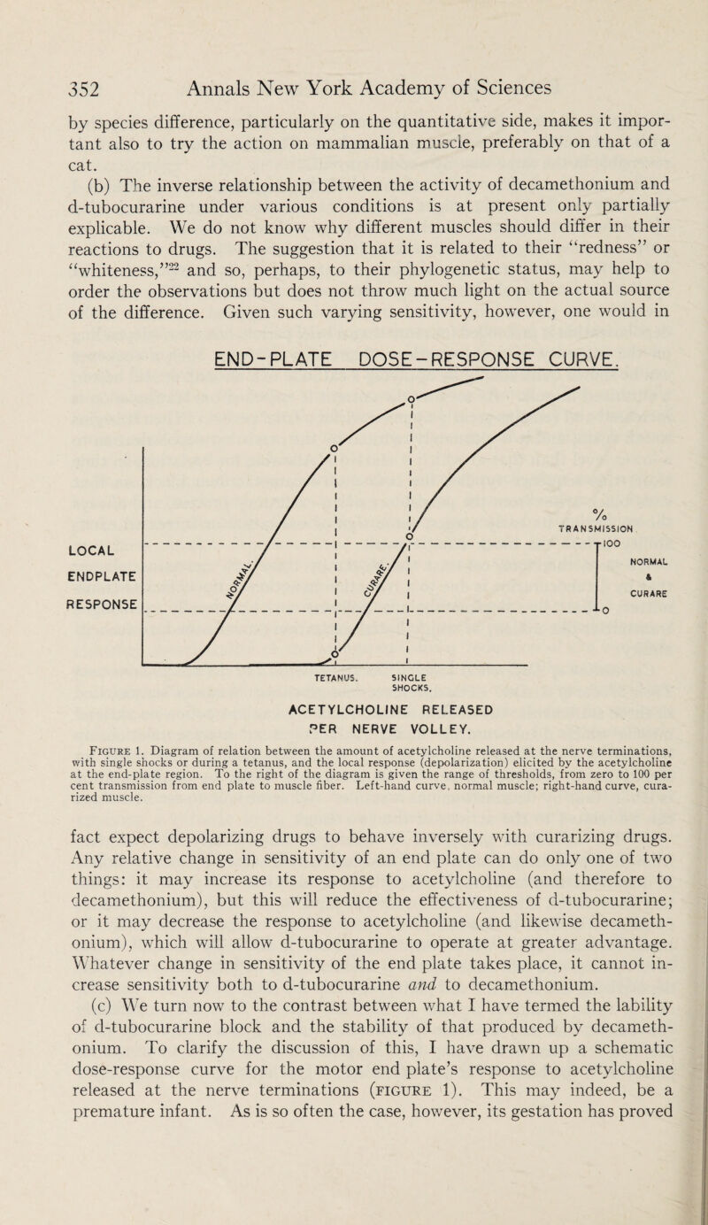 by species difference, particularly on the quantitative side, makes it impor¬ tant also to try the action on mammalian muscle, preferably on that of a cat. (b) The inverse relationship between the activity of decamethonium and d-tubocurarine under various conditions is at present only partially explicable. We do not know why different muscles should differ in their reactions to drugs. The suggestion that it is related to their “redness” or “whiteness,”22 and so, perhaps, to their phylogenetic status, may help to order the observations but does not throw much light on the actual source of the difference. Given such varying sensitivity, however, one would in END-PLATE DOSE-RESPONSE CURVE. LOCAL ENDPLATE RESPONSE TETANUS. SINGLE SHOCKS. ACETYLCHOLINE RELEASED PER NERVE VOLLEY. Figure 1. Diagram of relation between the amount of acetylcholine released at the nerve terminations, with single shocks or during a tetanus, and the local response (depolarization) elicited by the acetylcholine at the end-plate region. To the right of the diagram is given the range of thresholds, from zero to 100 per cent transmission from end plate to muscle fiber. Left-hand curve, normal muscle; right-hand curve, cura- rized muscle. fact expect depolarizing drugs to behave inversely with curarizing drugs. Any relative change in sensitivity of an end plate can do only one of two things: it may increase its response to acetylcholine (and therefore to decamethonium), but this will reduce the effectiveness of d-tubocurarine; or it may decrease the response to acetylcholine (and likewise decameth¬ onium), which will allow d-tubocurarine to operate at greater advantage. Whatever change in sensitivity of the end plate takes place, it cannot in¬ crease sensitivity both to d-tubocurarine and to decamethonium. (c) We turn now to the contrast between what I have termed the lability of d-tubocurarine block and the stability of that produced by decameth¬ onium. To clarify the discussion of this, I have drawn up a schematic dose-response curve for the motor end plate’s response to acetylcholine released at the nerve terminations (figure 1). This may indeed, be a premature infant. As is so often the case, however, its gestation has proved