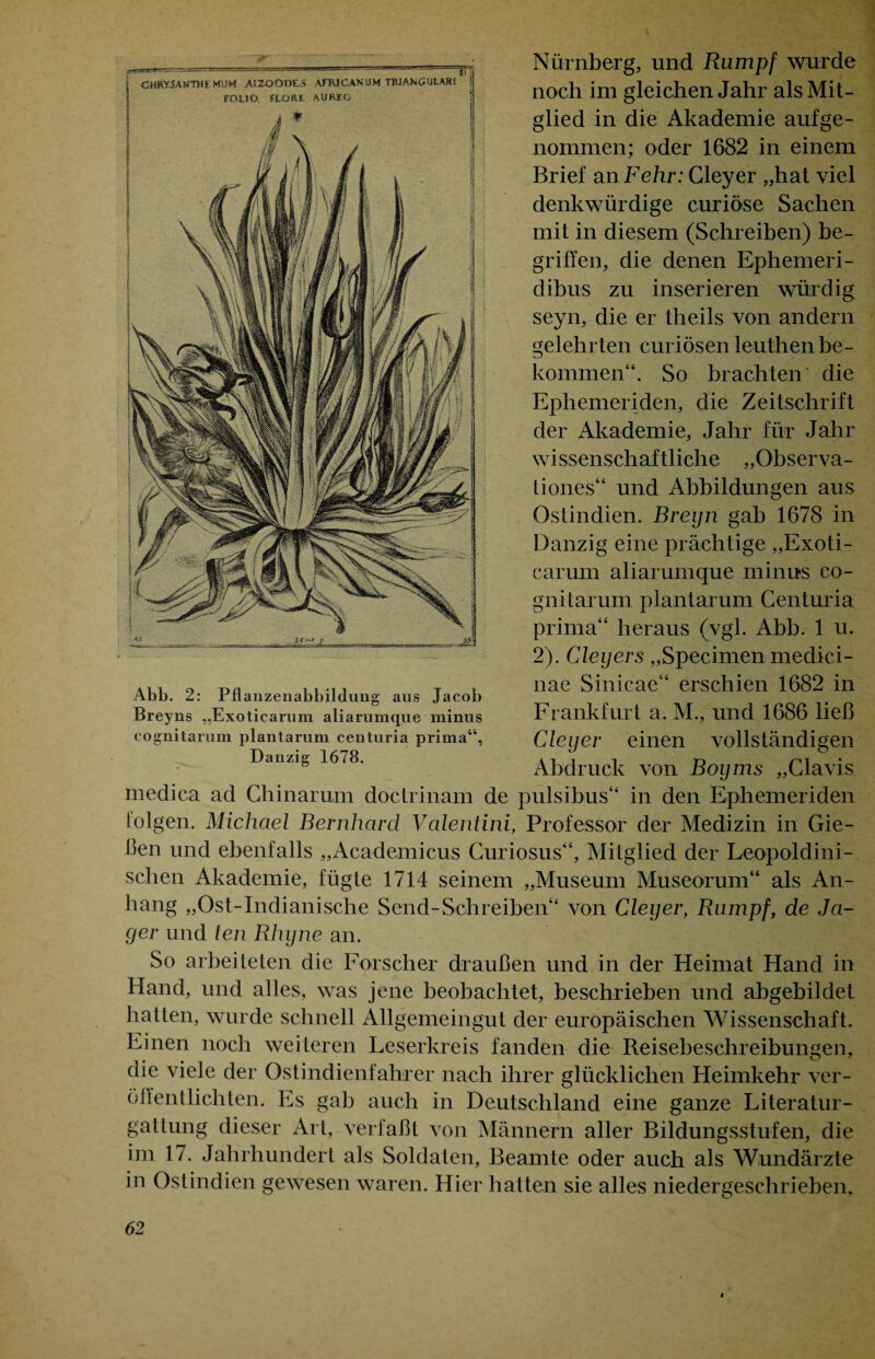 Abb. 2: Pflanzenabbildung aus Jacob Breyns „Exoticarum aliarumque minus cognitarum plantaruni centuria prima“, Danzig 1678. medica ad Chinarum doctrinam de Nürnberg, und Rumpf wurde noch im gleichen Jahr als Mit¬ glied in die Akademie aufge¬ nommen; oder 1682 in einem Brief an Fehr: Cleyer „hat viel denkwürdige curiöse Sachen mit in diesem (Schreiben) be¬ griffen, die denen Ephemeri- dibus zu inserieren würdig seyn, die er theils von andern gelehrten curiösen leuthen be¬ kommen“. So brachten die Ephemeriden, die Zeitschrift der Akademie, Jahr für Jahr wissenschaftliche „Observa- tiones“ und Abbildungen aus Ostindien. Breyn gab 1678 in Danzig eine prächtige „Exoti¬ carum aliarumque minus co- gnitarum plantarum Centuria prima“ heraus (vgl. Abb. 1 u. 2). Cleyers „Specimen medici- nae Sinicae“ erschien 1682 in Frankfurt a. M., und 1686 ließ Cleyer einen vollständigen Abdruck von Boyms „Clavis pulsibus“ in den Ephemeriden tolgen. Michael Bernhard Valentini, Professor der Medizin in Gie¬ ßen und ebenfalls „Academicus Curiosus“, Mitglied der Leopoldini- sclien Akademie, fügte 1714 seinem „Museum Museorum“ als An- hang „Ost-Indianische Send-Schreiben“ von Cleyer, Rumpf, de Jä¬ ger und ten Rhyne an. So arbeiteten die Forscher draußen und in der Heimat Hand in Hand, und alles, was jene beobachtet, beschrieben und abgebildet hatten, wurde schnell Allgemeingut der europäischen Wissenschaft. Einen noch weiteren Leserkreis fanden die Reisebeschreibungen, die viele der Ostindienfahrer nach ihrer glücklichen Heimkehr ver¬ öffentlichten. Es gab auch in Deutschland eine ganze Literatur¬ gattung dieser Art, verfaßt von Männern aller Bildungsstufen, die im 17. Jahrhundert als Soldaten, Beamte oder auch als Wundärzte in Ostindien gewesen waren. Hier hatten sie alles niedergeschrieben.
