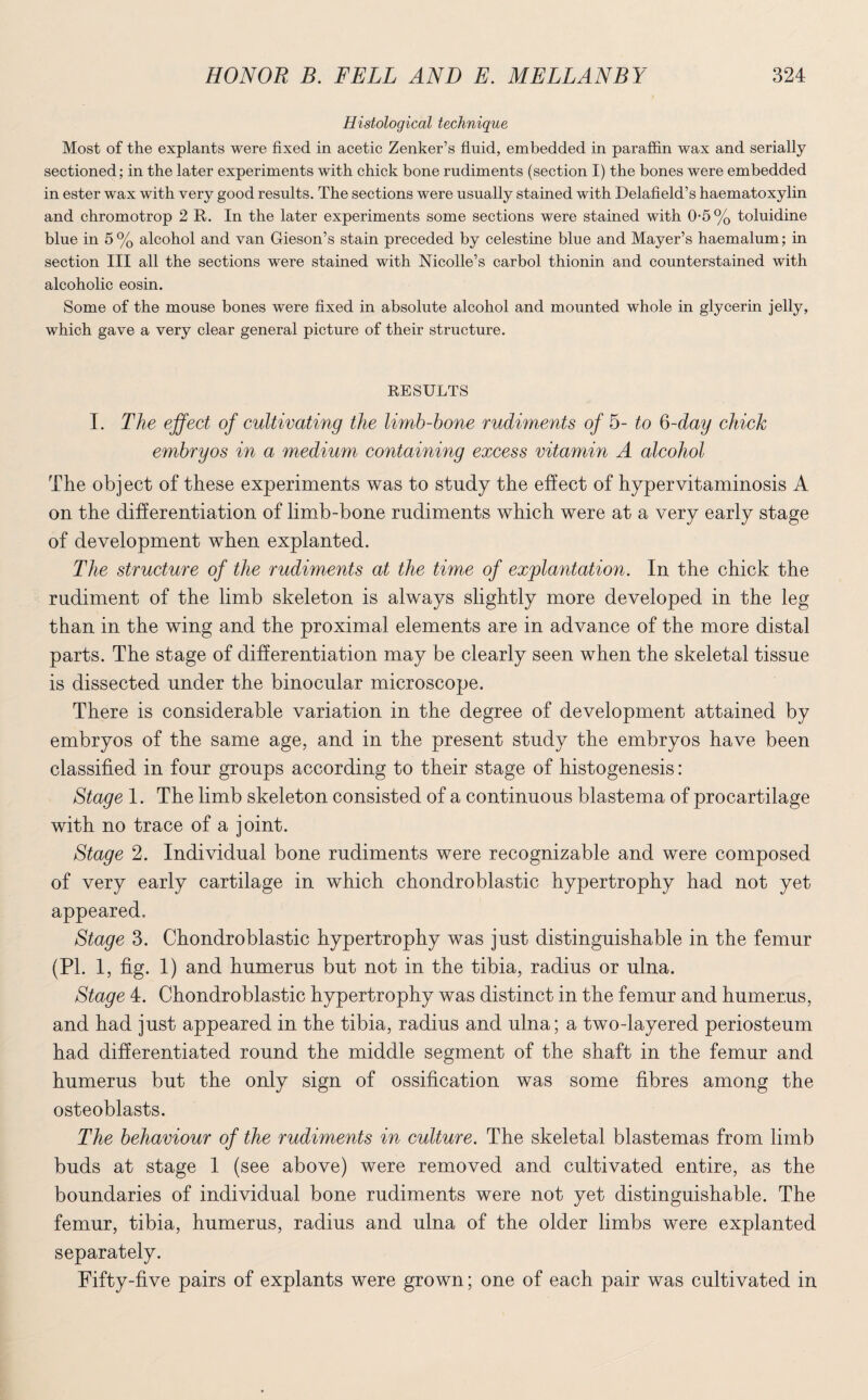 Histological technique Most of the explants were fixed in acetic Zenker’s fluid, embedded in paraffin wax and serially sectioned; in the later experiments with chick bone rudiments (section I) the bones were embedded in ester wax with very good results. The sections were usually stained with Delafield’s haematoxylin and chromotrop 2 R. In the later experiments some sections were stained with 0-5% toluidine blue in 5% alcohol and van Gieson’s stain preceded by celestine blue and Mayer’s haemalum; in section III all the sections were stained with Nicolle’s carbol thionin and counterstained with alcoholic eosin. Some of the mouse bones were fixed in absolute alcohol and mounted whole in glycerin jelly, which gave a very clear general picture of their structure. RESULTS I. The effect of cultivating the limb-bone rudiments of 5- to Q-day chick embryos in a medium containing excess vitamin A alcohol The object of these experiments was to study the effect of hypervitaminosis A on the differentiation of limb-bone rudiments which were at a very early stage of development when explanted. The structure of the rudiments at the time of explantation. In the chick the rudiment of the limb skeleton is always slightly more developed in the leg than in the wing and the proximal elements are in advance of the more distal parts. The stage of differentiation may be clearly seen when the skeletal tissue is dissected under the binocular microscope. There is considerable variation in the degree of development attained by embryos of the same age, and in the present study the embryos have been classified in four groups according to their stage of histogenesis: Stage 1. The limb skeleton consisted of a continuous blastema of procartilage with no trace of a joint. Stage 2. Individual bone rudiments were recognizable and were composed of very early cartilage in which chondroblastic hypertrophy had not yet appeared. Stage 3. Chondroblastic hypertrophy was just distinguishable in the femur (PI. 1, fig. 1) and humerus but not in the tibia, radius or ulna. Stage 4. Chondroblastic hypertrophy was distinct in the femur and humerus, and had just appeared in the tibia, radius and ulna; a two-layered periosteum had differentiated round the middle segment of the shaft in the femur and humerus but the only sign of ossification was some fibres among the osteoblasts. The behaviour of the rudiments in culture. The skeletal blastemas from limb buds at stage 1 (see above) were removed and cultivated entire, as the boundaries of individual bone rudiments were not yet distinguishable. The femur, tibia, humerus, radius and ulna of the older limbs were explanted separately. Fifty-five pairs of explants were grown; one of each pair was cultivated in
