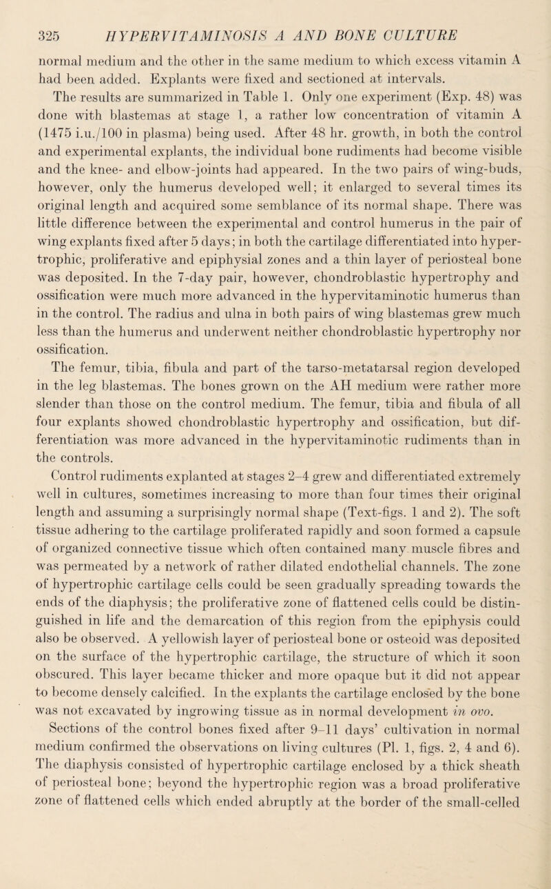 normal medium and the other in the same medium to which excess vitamin A had been added. Explants were fixed and sectioned at intervals. The results are summarized in Table 1. Only one experiment (Exp. 48) was done with blastemas at stage 1, a rather low concentration of vitamin A (1475 i.u./lOO in plasma) being used. After 48 hr. growth, in both the control and experimental explants, the individual bone rudiments had become visible and the knee- and elbow-joints had appeared. In the two pairs of wing-buds, however, only the humerus developed well; it enlarged to several times its original length and acquired some semblance of its normal shape. There was little difference between the experimental and control humerus in the pair of wing explants fixed after 5 days; in both the cartilage differentiated into hyper¬ trophic, proliferative and epiphysial zones and a thin layer of periosteal bone was deposited. In the 7-day pair, however, chondrobiastic hypertrophy and ossification were much more advanced in the hypervitaminotic humerus than in the control. The radius and ulna in both pairs of wing blastemas grew much less than the humerus and underwent neither chondrobiastic hypertrophy nor ossification. The femur, tibia, fibula and part of the tarso-metatarsal region developed in the leg blastemas. The bones grown on the AH medium were rather more slender than those on the control medium. The femur, tibia and fibula of all four explants showed chondrobiastic hypertrophy and ossification, but dif¬ ferentiation was more advanced in the hypervitaminotic rudiments than in the controls. Control rudiments explanted at stages 2-4 grew and differentiated extremely well in cultures, sometimes increasing to more than four times their original length and assuming a surprisingly normal shape (Text-figs. 1 and 2). The soft tissue adhering to the cartilage proliferated rapidly and soon formed a capsule of organized connective tissue which often contained many muscle fibres and was permeated by a network of rather dilated endothelial channels. The zone of hypertrophic cartilage cells could be seen gradually spreading towards the ends of the diaphysis; the proliferative zone of flattened cells could be distin¬ guished in life and the demarcation of this region from the epiphysis could also be observed. A yellowish layer of periosteal bone or osteoid was deposited on the surface of the hypertrophic cartilage, the structure of which it soon obscured. This layer became thicker and more opaque but it did not appear to become densely calcified. In the explants the cartilage enclosed by the bone was not excavated by ingrowing tissue as in normal development in ovo. Sections of the control bones fixed after 9-11 days’ cultivation in normal medium confirmed the observations on living cultures (PI. 1, figs. 2, 4 and 6). The diaphysis consisted of hypertrophic cartilage enclosed by a thick sheath of periosteal bone; beyond the hypertrophic region was a broad proliferative zone of flattened cells which ended abruptly at the border of the small-celled