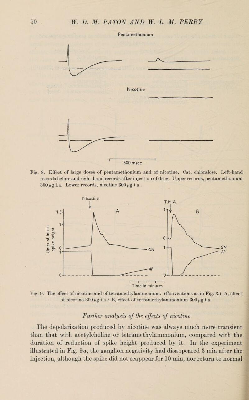 Pentamethonium Fig. 8. Effect of large doses of pentamethonium and of nicotine. Cat, chloralose. Left-hand records before and right-hand records after injection of drug. Upper records, pentamethonium 300 pg i.a. Lower records, nicotine 300 pg i.a. GN AP Fig. 9. The effect of nicotine and of tetramethylammonium. (Conventions as in Fig. 3.) A, effect of nicotine 300 pg i.a.; B, effect of tetramethylammonium 300pg i.a. Further analysis of the effects of nicotine The depolarization produced by nicotine was always much more transient than that with acetylcholine or tetramethylammonium, compared with the duration of reduction of spike height produced by it. In the experiment illustrated in Fig. 9 a, the ganglion negativity had disappeared 3 min after the injection, although the spike did not reappear for 10 min, nor return to normal