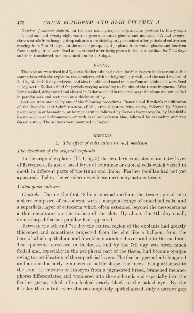 Number of cultures studied. In the first main group of experiments (section I), thirty-eight + A explants and twenty-eight controls grown in watch-glasses and nineteen +A and twenty- three controls from hanging-drop cultures were histologically examined after periods of cultivation ranging from 7 to 14 days. In the second group, eight .explants from watch-glasses and fourteen from hanging drops were fixed and sectioned after being grown in the -I-A medium for 7-14 days and then transferred to normal medium for 4-8 days. Histology The explants were fixed in 3 % acetic Zenker’s fluid; fixation for 30 min gave the best results. For comparison with the explants, the ectoderm, with underlying body wall, and the nasal regions of 7-, 10-, 13- and 18-day embryos, and also the skin and nasal mucosa from an adult cock were fixed in 5 % acetic Zenker’s fluid for periods varying according to the size of the tissue fragment. After being washed, dehydrated and cleared in Cedar wood oil in the usual way, the tissue was embedded in paraffin wax and sectioned at a thickness of 8 y. Sections were stained by one of the following procedures: Bauer’s and Bensley’s modification of the Periodic acid-Schiff reaction (PAS), after digestion with saliva, followed by Meyer’s haematoxylin or haemalum, or by mucicarmine followed by Meyer’s haematoxylin, by Delafield’s haematoxylin and chromotrop, or with azan and celestin blue, followed by haemalum and van Giesen’s stain. The sections were mounted in Depex. RESULTS I. The effect of cultivation in +A medium The structure of the original explants In the original explants (PL 1, fig. 3) the ectoderm consisted of an outer layer of flattened cells and a basal layer of columnar or cubical cells which varied in depth in different parts of the trunk and limbs. Feather papillae had not yet appeared. Below the ectoderm was loose mesenchymatons tissue. Watch-glass cultures Controls. During the first 48 hr in normal medium the tissue spread into a sheet composed of mesoderm, with a marginal fringe of amoeboid cells, and a superficial layer of ectoderm which often extended beyond the mesoderm as a thin membrane on the surface of the clot. By about the 4th day small, dome-shaped feather papillae had appeared. Between the 4th and 7th day the central region of the explants had greatly thickened and sometimes projected from the clot like a balloon, from the base of which epithelium and fibroblasts wandered over and into the medium. The epidermis increased in thickness, and by the 7th day was often much folded and, especially in the peripheral part of the tissue, had become opaque owing to cornification of the superficial layers. The feather germs had elongated and assumed a fairly symmetrical bottle-shape, the 4 neck5 being attached to the skin. In cultures of embryos from a pigmented breed, branched rnelano- phores differentiated and wandered into the epidermis and especially into the feather germs, which often looked nearly black to the naked eye. By the 9th day the controls were almost completely epithelialized, only a narrow gap