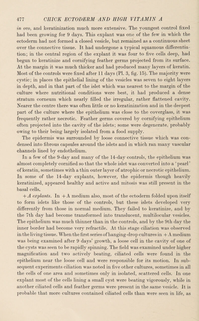 in ovo, and keratinization much more extensive. The youngest control fixed had been growing for 9 days. This explant was one of the few in which the ectoderm had not formed a closed vesicle, but remained as a continuous sheet over the connective tissue. It had undergone a typical squamous differentia¬ tion; in the central region of the explant it was four to five cells deep, had begun to keratinize and cornifying feather germs projected from its surface. At the margin it was much thicker and had produced many layers of keratin. Most of the controls were fixed after 11 days (PI. 3, fig. 15). The majority were cystic; in places the epithelial lining of the vesicles was seven to eight layers in depth, and in that part of the islet which was nearest to the margin of the culture where nutritional conditions were best, it had produced a dense stratum corneum which nearly filled the irregular, rather flattened cavity. Nearer the centre there was often little or no keratinization and in the deepest part of the culture where the epithelium was close to the coverglass, it was frequently rather necrotic. Feather germs covered by cornifying epithelium often projected into the cavity of the islets; some were degenerate, probably owing to their being largely isolated from a food supply. The epidermis was surrounded by loose connective tissue which was con¬ densed into fibrous capsules around the islets and in which ran many vascular channels lined by endothelium. In a few of the 9-day and many of the 14-day controls, the epithelium was almost completely cornified so that the whole islet was converted into a ‘ pearl5 of keratin, sometimes with a thin outer layer of atrophic or necrotic epithelium. In some of the 14-day explants, however, the epidermis though heavily keratinized, appeared healthy and active and mitosis was still present in the basal cells. + A explants. In + A medium also, most of the ectoderm folded upon itself to form islets like those of the controls, but these islets developed very differently from those in normal medium. They failed to keratinize, and by the 7th day had become transformed into translucent, multilocular vesicles. The epithelium was much thinner than in the controls, and by the 9th day the inner border had become very refractile. At this stage ciliation was observed in the living tissue. When the first series of hanging-drop cultures in + A medium was being examined after 9 days’ growth, a loose cell in the cavity of one of the cysts was seen to be rapidly spinning. The field was examined under higher magnification and two actively beating, ciliated cells were found in the epithelium near the loose cell and were responsible for its motion. In sub¬ sequent experiments ciliation was noted in five other cultures, sometimes in all the cells of one area and sometimes only in isolated, scattered cells. In one explant most of the cells lining a small cyst were beating vigorously, while in another ciliated cells and feather germs were present in the same vesicle. It is probable that more cultures contained ciliated cells than were seen in life, as
