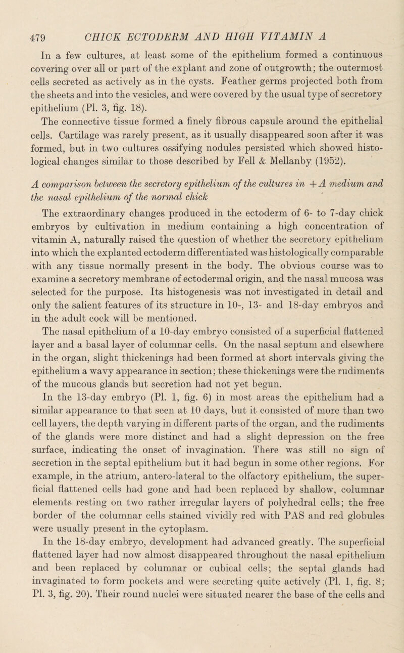 In a few cultures, at least some of the epithelium formed a continuous covering over all or part of the explant and zone of outgrowth; the outermost cells secreted as actively as in the cysts. Feather germs projected both from the sheets and into the vesicles, and were covered by the usual type of secretory epithelium (Pl. 3, fig. 18). The connective tissue formed a finely fibrous capsule around the epithelial cells. Cartilage was rarely present, as it usually disappeared soon after it was formed, but in two cultures ossifying nodules persisted which showed histo¬ logical changes similar to those described by Fell & Mellanby (1952). A comparison between the secretory epithelium of the cultures in + A medium and the nasal epithelium of the normal chick The extraordinary changes produced in the ectoderm of 6- to 7-day chick embryos by cultivation in medium containing a high concentration of vitamin A, naturally raised the question of whether the secretory epithelium into which the explanted ectoderm differentiated was histologically comparable with any tissue normally present in the body. The obvious course was to examine a secretory membrane of ectodermal origin, and the nasal mucosa was selected for the purpose. Its histogenesis was not investigated in detail and only the salient features of its structure in 10-, 13- and 18-day embryos and in the adult cock will be mentioned. The nasal epithelium of a 10-day embryo consisted of a superficial flattened layer and a basal layer of columnar cells. On the nasal septum and elsewhere in the organ, slight thickenings had been formed at short intervals giving the epithelium a wavy appearance in section; these thickenings were the rudiments of the mucous glands but secretion had not yet begun. In the 13-day embryo (PI. 1, fig. 6) in most areas the epithelium had a similar appearance to that seen at 10 days, but it consisted of more than two cell layers, the depth varying in different parts of the organ, and the rudiments of the glands were more distinct and had a slight depression on the free surface, indicating the onset of invagination. There was still no sign of secretion in the septal epithelium but it had begun in some other regions. For example, in the atrium, antero-lateral to the olfactory epithelium, the super¬ ficial flattened cells had gone and had been replaced by shallow, columnar elements resting on two rather irregular layers of polyhedral cells; the free border of the columnar cells stained vividly red with PAS and red globules were usually present in the cytoplasm. In the 18-day embryo, development had advanced greatly. The superficial flattened layer had now almost disappeared throughout the nasal epithelium and been replaced by columnar or cubical cells; the septal glands had invaginated to form pockets and were secreting quite actively (Pl. 1, fig. 8; PL 3, fig. 20). Their round nuclei were situated nearer the base of the cells and