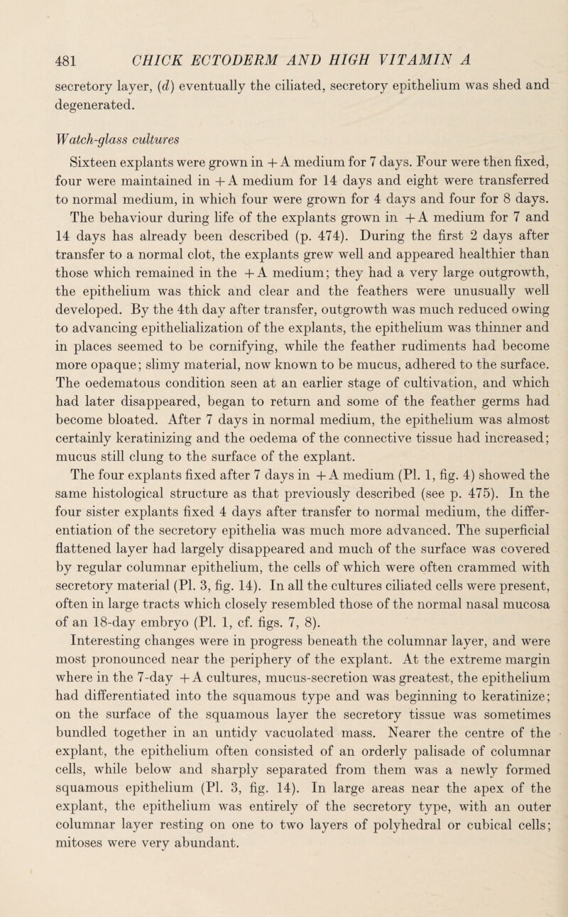 secretory layer, (d) eventually the ciliated, secretory epithelium was shed and degenerated. Watch-glass cultures Sixteen explants were grown in + A medium for 7 days. Four were then fixed, four were maintained in + A medium for 14 days and eight were transferred to normal medium, in which four were grown for 4 days and four for 8 days. The behaviour during life of the explants grown in + A medium for 7 and 14 days has already been described (p. 474). During the first 2 days after transfer to a normal clot, the explants grew well and appeared healthier than those which remained in the +A medium; they had a very large outgrowth, the epithelium was thick and clear and the feathers were unusually well developed. By the 4th day after transfer, outgrowth was much reduced owing to advancing epithelialization of the explants, the epithelium was thinner and in places seemed to be cornifying, while the feather rudiments had become more opaque; slimy material, now known to be mucus, adhered to the surface. The oedematous condition seen at an earlier stage of cultivation, and which had later disappeared, began to return and some of the feather germs had become bloated. After 7 days in normal medium, the epithelium was almost certainly keratinizing and the oedema of the connective tissue had increased; mucus still clung to the surface of the explant. The four explants fixed after 7 days in + A medium (PL 1, fig. 4) showed the same histological structure as that previously described (see p. 475). In the four sister explants fixed 4 days after transfer to normal medium, the differ¬ entiation of the secretory epithelia was much more advanced. The superficial flattened layer had largely disappeared and much of the surface was covered by regular columnar epithelium, the cells of which were often crammed with secretory material (PL 3, fig. 14). In all the cultures ciliated cells were present, often in large tracts which closely resembled those of the normal nasal mucosa of an 18-day embryo (PL 1, cf. figs. 7, 8). Interesting changes were in progress beneath the columnar layer, and were most pronounced near the periphery of the explant. At the extreme margin where in the 7-day + A cultures, mucus-secretion was greatest, the epithelium had differentiated into the squamous type and was beginning to keratinize; on the surface of the squamous layer the secretory tissue was sometimes bundled together in an untidy vacuolated mass. Nearer the centre of the explant, the epithelium often consisted of an orderly palisade of columnar cells, while below and sharply separated from them was a newly formed squamous epithelium (Pl. 3, fig. 14). In large areas near the apex of the explant, the epithelium was entirely of the secretory type, with an outer columnar layer resting on one to two layers of polyhedral or cubical cells; mitoses were very abundant.