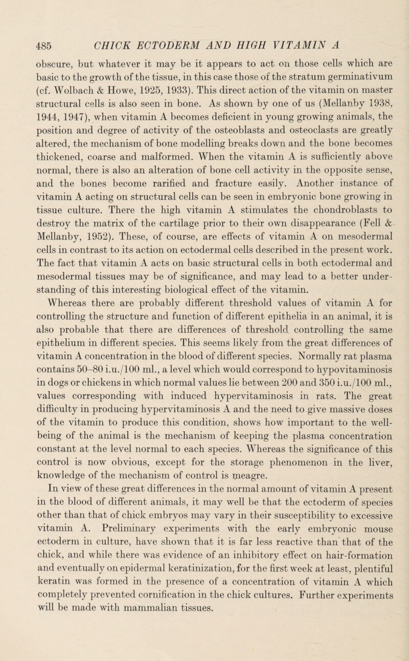 obscure, but whatever it may be it appears to act on those cells which are basic to the growth of the tissue, in this case those of the stratum germinativum (cf. Wolbach & Howe, 1925, 1933). This direct action of the vitamin on master structural cells is also seen in bone. As shown by one of us (Mellanby 1938, 1944, 1947), when vitamin A becomes deficient in young growing animals, the position and degree of activity of the osteoblasts and osteoclasts are greatly altered, the mechanism of bone modelling breaks down and the bone becomes thickened, coarse and malformed. When the vitamin A is sufficiently above normal, there is also an alteration of bone cell activity in the opposite sense, and the bones become rarified and fracture easily. Another instance of vitamin A acting on structural cells can be seen in embryonic bone growing in tissue culture. There the high vitamin A stimulates the chondroblasts to destroy the matrix of the cartilage prior to their own disappearance (Fell & Mellanby, 1952). These, of course, are effects of vitamin A on mesodermal cells in contrast to its action on ectodermal cells described in the present work. The fact that vitamin A acts on basic structural cells in both ectodermal and mesodermal tissues may be of significance, and may lead to a better under¬ standing of this interesting biological effect of the vitamin. Whereas there are probably different threshold values of vitamin A for controlling the structure and function of different epithelia in an animal, it is also probable that there are differences of threshold, controlling the same epithelium in different species. This seems likely from the great differences of vitamin A concentration in the blood of different species. Normally rat plasma contains 50-80 i.u./lOO ml., a level which would correspond to hypovitaminosis in dogs or chickens in which normal values lie between 200 and 350 i.u./lOO ml., values corresponding with induced hypervitaminosis in rats. The great difficulty in producing hypervitaminosis A and the need to give massive doses of the vitamin to produce this condition, shows how important to the well¬ being of the animal is the mechanism of keeping the plasma concentration constant at the level normal to each species. Whereas the significance of this control is now obvious, except for the storage phenomenon in the liver, knowledge of the mechanism of control is meagre. In view of these great differences in the normal amount of vitamin A present in the blood of different animals, it may well be that the ectoderm of species other than that of chick embryos may vary in their susceptibility to excessive vitamin A. Preliminary experiments with the early embryonic mouse ectoderm in culture, have shown that it is far less reactive than that of the chick, and while there was evidence of an inhibitory effect on hair-formation and eventually on epidermal keratinization, for the first week at least, plentiful keratin was formed in the presence of a concentration of vitamin A which completely prevented cornification in the chick cultures. Further experiments will be made with mammalian tissues.