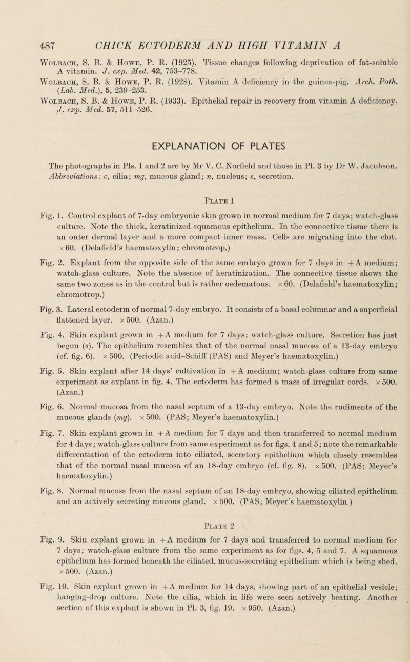 Wolbach, S. B. & Howe, P. R. (1925). Tissue changes following deprivation of fat-soluble A vitamin. J. exp. Med. 42, 753-778. Wolbach, S. B. & Howe, P. R. (1928). Vitamin A deficiency in the guinea-pig. Arch. Path. {Lab. Med.), 5, 239-253. Wolbach, S. B. & Howe, P. R. (1933). Epithelial repair in recovery from vitamin A deficiency. J. exp. Med. 57, 511-526. EXPLANATION OF PLATES The photographs in Pis. 1 and 2 are by Mr V. C. Norfield and those in PI. 3 by Dr W. Jacobson. Abbreviations: c, cilia; mg, mucous gland; n, nucleus; s, secretion. Plate 1 Fig. 1. Control explant of 7-day embryonic skin grown in normal medium for 7 days; watch-glass culture. Note the thick, keratinized squamous epithelium. In the connective tissue there is an outer dermal layer and a more compact inner mass. Cells are migrating into the clot, x 60. (Delafield’s haematoxylin; chromotrop.) Fig. 2. Explant from the opposite side of the same embryo grown for 7 days in + A medium; watch-glass culture. Note the absence of keratinization. The connective tissue shows the same two zones as in the control but is rather oedematous. x 60. (Delafield’s haematoxylin; chromotrop.) Fig. 3. Lateral ectoderm of normal 7-day embryo. It consists of a basal columnar and a superficial flattened layer, x 500. (Azan.) Fig. 4. Skin explant grown in +A medium for 7 days; watch-glass culture. Secretion has just begun (s). The epithelium resembles that of the normal nasal mucosa of a 13-day embryo (cf. fig. 6). x 500. (Periodic acid-Schiff (PAS) and Meyer’s haematoxylin.) Fig. 5. Skin explant after 14 days’ cultivation in +A medium; watch-glass culture from same experiment as explant in fig. 4. The ectoderm has formed a mass of irregular cords, x 500. (Azan.) Fig. 6. Normal mucosa from the nasal septum of a 13-day embryo. Note the rudiments of the mucous glands (mg), x 500. (PAS; Meyer’s haematoxylin.) Fig. 7. Skin explant grown in +A medium for 7 days and then transferred to normal medium for 4 days; watch-glass culture from same experiment as for figs. 4 and 5; note the remarkable differentiation of the ectoderm into ciliated, secretory epithelium which closely resembles that of the normal nasal mucosa of an 18-day embryo (cf. fig. 8). x 500. (PAS; Meyer’s haematoxylin.) Fig. 8. Normal mucosa from the nasal septum of an 18-day embryo, showing ciliated epithelium and an actively secreting mucous gland, x 500. (PAS; Meyer’s haematoxylin.) Plate 2 Fig. 9. Skin explant grown in +A medium for 7 days and transferred to normal medium for 7 days; watch-glass culture from the same experiment as for figs. 4, 5 and 7. A squamous epithelium has formed beneath the ciliated, mucus-secreting epithelium which is being shed, x 500. (Azan.) Fig. 10. Skin explant grown in +A medium for 14 days, showing part of an epithelial vesicle; hanging-drop culture. Note the cilia, which in life were seen actively beating. Another section of this explant is shown in PI. 3, fig. 19. x 950. (Azan.)