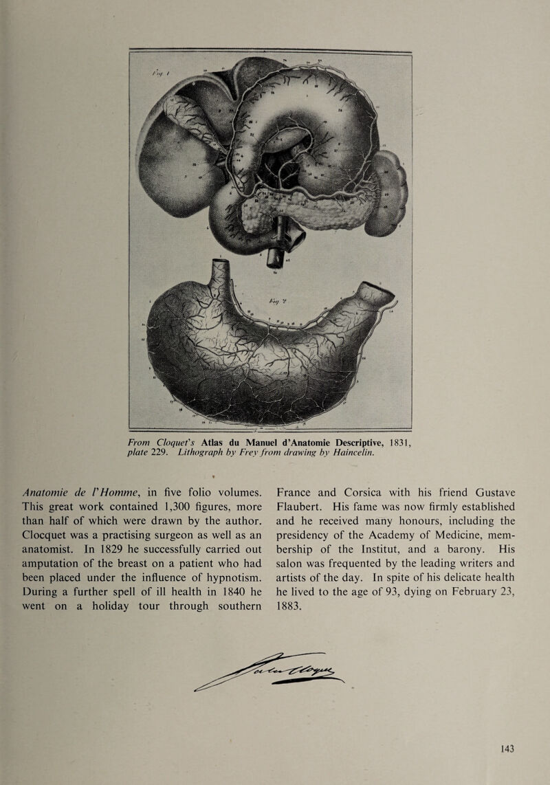 From Cloquet's Atlas du Manuel d’Anatomie Descriptive, 1831, plate 229. Lithograph by Frey from drawing by Haincelin. Anatomie de /’Homme, in five folio volumes. This great work contained 1,300 figures, more than half of which were drawn by the author. Clocquet was a practising surgeon as well as an anatomist. In 1829 he successfully carried out amputation of the breast on a patient who had been placed under the influence of hypnotism. During a further spell of ill health in 1840 he went on a holiday tour through southern France and Corsica with his friend Gustave Flaubert. His fame was now firmly established and he received many honours, including the presidency of the Academy of Medicine, mem¬ bership of the Institut, and a barony. His salon was frequented by the leading writers and artists of the day. In spite of his delicate health he lived to the age of 93, dying on February 23, 1883.