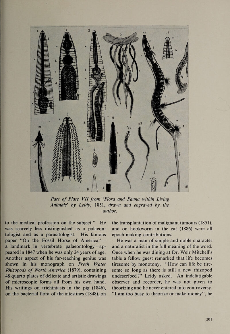 Part of Plate VII from ‘Flora and Fauna within Living Animals’ by Leidy, 1851, drawn and engraved by the author. to the medical profession on the subject.” He was scarcely less distinguished as a palaeon¬ tologist and as a parasitologist. His famous paper “On the Fossil Horse of America”— a landmark in vertebrate palaeontology—ap¬ peared in 1847 when he was only 24 years of age. Another aspect of his far-reaching genius was shown in his monograph on Fresh Water Rhizopods of North America (1879), containing 48 quarto plates of delicate and artistic drawings of microscopic forms all from his own hand. His writings on trichiniasis in the pig (1846), on the bacterial flora of the intestines (1848), on the transplantation of malignant tumours (1851), and on hookworm in the cat (1886) were all epoch-making contributions. He was a man of simple and noble character and a naturalist in the full meaning of the word. Once when he was dining at Dr. Weir Mitchell’s table a fellow guest remarked that life becomes tiresome by monotony. “How can life be tire¬ some so long as there is still a new rhizopod undescribed?” Leidy asked. An indefatigable observer and recorder, he was not given to theorizing and he never entered into controversy. “I am too busy to theorize or make money”, he