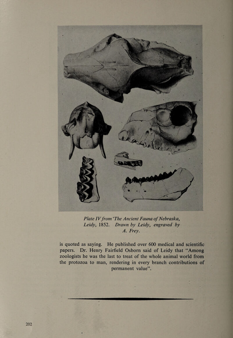 Plate IVfrom ‘The Ancient Fauna of Nebraska, Leidy, 1852. Drawn by Leidy, engraved by A. Frey. is quoted as saying. He published over 600 medical and scientific papers. Dr. Henry Fairfield Osborn said of Leidy that “Among zoologists he was the last to treat of the whole animal world from the protozoa to man, rendering in every branch contributions of permanent value”.