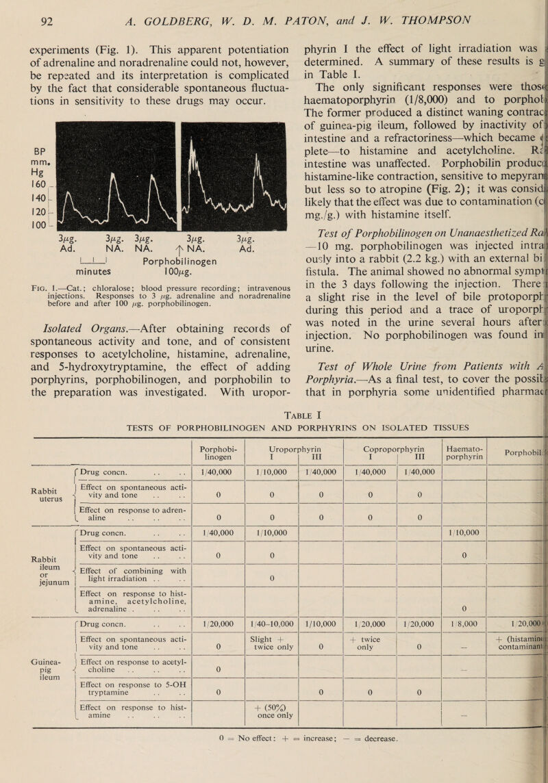 experiments (Fig. 1). This apparent potentiation of adrenaline and noradrenaline could not, however, be repeated and its interpretation is complicated by the fact that considerable spontaneous fluctua¬ tions in sensitivity to these drugs may occur. Fig. 1.-—Cat.; chloralose; blood pressure recording; intravenous injections. Responses to 3 /ig. adrenaline and noradrenaline before and after 100 /ug. porphobilinogen. Isolated Organs.—-After obtaining records of spontaneous activity and tone, and of consistent responses to acetylcholine, histamine, adrenaline, and 5-hydroxytryptamine, the effect of adding porphyrins, porphobilinogen, and porphobilin to the preparation was investigated. With uropor¬ phyrin I the effect of light irradiation was ja determined. A summary of these results is g in Table I. The only significant responses were thos<c haematoporphyrin (1/8,000) and to porphoh The former produced a distinct waning contract of guinea-pig ileum, followed by inactivity of I intestine and a refractoriness—which became 41 plete—to histamine and acetylcholine. Rci intestine was unaffected. Porphobilin product histamine-like contraction, sensitive to mepyrami but less so to atropine (Fig. 2); it was considl likely that the effect was due to contamination (cl mg./g.) with histamine itself. Test of Porphobilinogen on Unanaesthetized Rah —10 mg. porphobilinogen was injected intraa ously into a rabbit (2.2 kg.) with an external bi fistula. The animal showed no abnormal sympt r in the 3 days following the injection. There i a slight rise in the level of bile protoporpf' during this period and a trace of uroporph' was noted in the urine several hours after! injection. No porphobilinogen was found in urine. Test of Whole Urine from Patients with AA Porphyria.—As a final test, to cover the possil | that in porphyria some unidentified pharmacf Table I TESTS OF PORPHOBILINOGEN AND PORPHYRINS ON ISOLATED TISSUES Porphobi¬ linogen Uroporj I ohyrin III Copropo I rphyrin III Haemato¬ porphyrin Porphobil: : Rabbit uterus i  Drug concn. 1/40,000 1/10,000 1/40,000 1/40,000 1/40,000 Effect on spontaneous acti¬ vity and tone 0 0 0 0 0 Effect on response to adren¬ aline 0 0 0 0 0 Rabbit ileum or jejunum r Drug concn. 1/40,000 1/10,000 1/10,000 Effect on spontaneous acti¬ vity and tone 0 0 0 Effect of combining with light irradiation . . 0 ' Effect on response to hist¬ amine, acetylcholine, adrenaline . 0 Guinea- pig J ileum 'Drug concn. 1/20,000 1/40-10,000 1/10,000 1/20,000 1/20,000 1/8,000 1/20,000 Effect on spontaneous acti¬ vity and tone 0 Slight + twice only 0 + twice only 0 — + (histamine contaminani Effect on response to acetyl¬ choline 0 — Effect on response to 5-OH tryptamine 0 0 0 0 Effect on response to hist¬ amine + (50%) once only — 0 = No effect: 4- = increase; — = decrease. 1