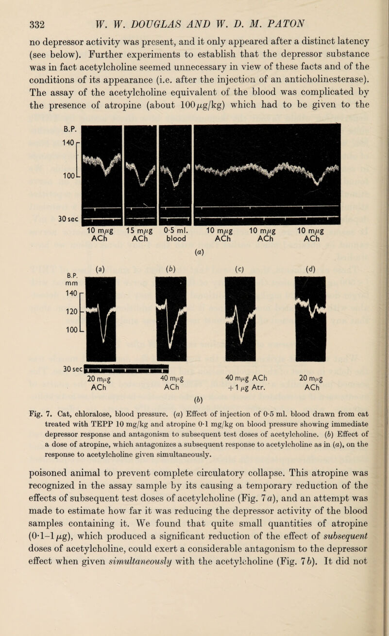 no depressor activity was present, and it only appeared after a distinct latency (see below). Further experiments to establish that the depressor substance was in fact acetylcholine seemed unnecessary in view of these facts and of the conditions of its appearance (i.e. after the injection of an anticholinesterase). The assay of the acetylcholine equivalent of the blood was complicated by the presence of atropine (about 100/xg/kg) which had to be given to the 30 sec 20 m/.tg 40 vr\/ig ACh ACh 40 m/ig ACh 20 m^g + 1 Mg Atr. ACh (b) Fig. 7. Cat, chloralose, blood pressure, (a) Effect of injection of 0-5 ml. blood drawn from cat treated with TEPP 10 mg/kg and atropine 0-1 mg/kg on blood pressure showing immediate depressor response and antagonism to subsequent test doses of acetylcholine. (b) Effect of a dose of atropine, which antagonizes a subsequent response to acetylcholine as in (a), on the response to acetylcholine given simultaneously. poisoned animal to prevent complete circulatory collapse. This atropine was recognized in the assay sample by its causing a temporary reduction of the effects of subsequent test doses of acetylcholine (Fig. 7 a), and an attempt was made to estimate how far it was reducing the depressor activity of the blood samples containing it. We found that quite small quantities of atropine (0*1-1 jug), which produced a significant reduction of the effect of subsequent doses of acetylcholine, could exert a considerable antagonism to the depressor effect when given simultaneously with the acetylcholine (Fig. 7 b). It did not