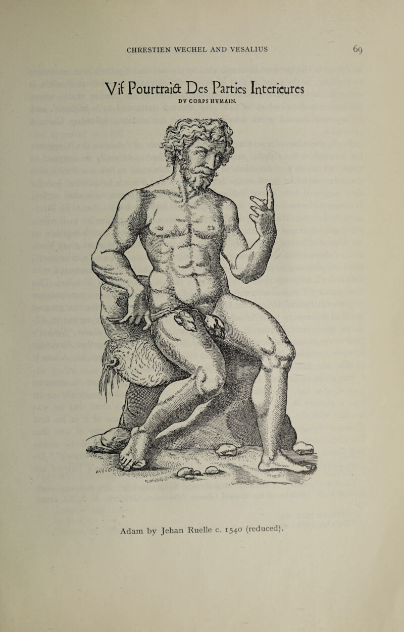 V if Pourtraifi D es Parties Intericures DV CORPS HVMAIN. Adam by Jehan Ruelle c. 154° (reduced)