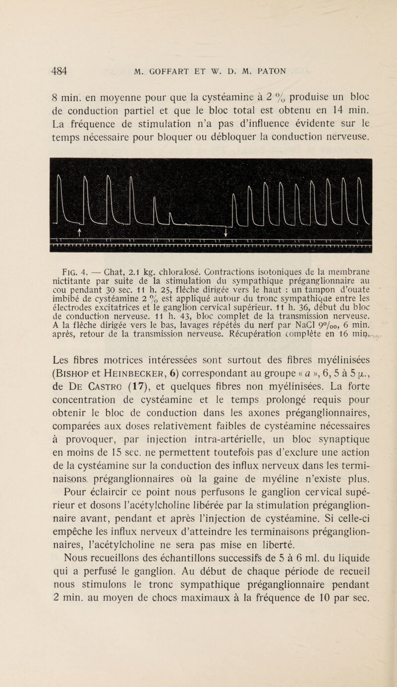 8 min. en moyenne pour que la cysteamine a 2 % produise un bloc de conduction partiel et que le bloc total est obtenu en 14 min. La frequence de stimulation n’a pas d’influence evidente sur le temps necessaire pour bloquer ou debloquer la conduction nerveuse. Fig. 4. — Chat, 2.1 kg. chloralose. Contractions isotoniques de la membrane nictitante par suite de la stimulation du sympathique preganglionnaire au cou pendant 30 sec. ll h. 25, fleche dirigee vers le haut : un tampon d’ouate imbibe de cysteamine 2 % est applique autour du tronc sympathique entre les electrodes excitatrices et le ganglion cervical superieur. 11 h. 36, debut du bloc de conduction nerveuse. 11 h. 43, bloc complet de la transmission nerveuse. A la fleche dirigee vers le bas, lavages repetes du nerf par NaCl 9%o, 6 min. apres, retour de la transmission nerveuse. Recuperation complete en 16 mip.T. Les fibres motrices interessees sont surtout des fibres myelinisees (Bishop et Heinbecker, 6) correspondant au groupe «a », 6, 5 a 5 p.., de De Castro (17), et quelques fibres non myelinisees. La forte concentration de cysteamine et le temps prolonge requis pour obtenir le bloc de conduction dans les axones preganglionnaires, comparees aux doses relativement faibles de cysteamine necessaires a provoquer, par injection intra-arterielle, un bloc synaptique en mo ins de 15 see. ne permettent toutefois pas d’exclure une action de la cysteamine sur la conduction des influx nerveux dans les termi- naisons. preganglionnaires ou la gaine de myeline n’existe plus. Pour eclaircir ce point nous perfusons le ganglion cervical supe¬ rieur et dosons l’acetylcholine liberee par la stimulation preganglion¬ naire avant, pendant et apres Tinjection de cysteamine. Si celle-ci empeche les influx nerveux d’atteindre les terminaisons preganglion¬ naires, Tacetylcholine ne sera pas mise en liberte. Nous recueillons des echantillons successifs de 5 a 6 ml. du liquide qui a perfuse le ganglion. Au debut de chaque periode de recueil nous stimulons le tronc sympathique preganglionnaire pendant 2 min. au moyen de chocs maximaux a la frequence de 10 par sec.