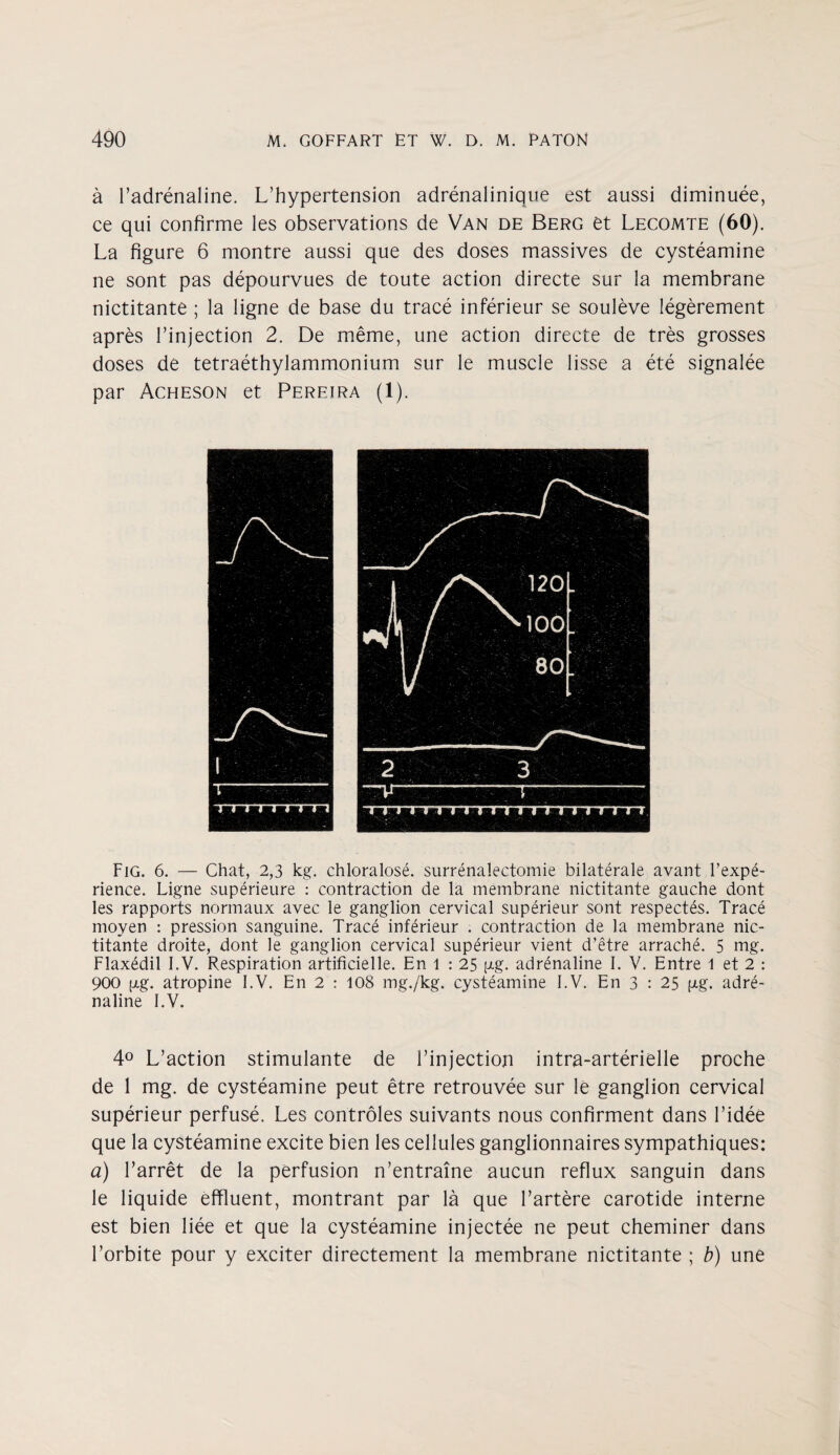 a badrenaline. L’hypertension adrenalinique est aussi diminuee, ce qui confirme les observations de Van de Berg et Lecomte (60). La figure 6 montre aussi que des doses massives de cysteamine ne sont pas depourvues de toute action directe sur la membrane nictitante ; la ligne de base du trace inferieur se souleve legerement apres l’injection 2. De meme, une action directe de tres grosses doses de tetraethylammonium sur le muscle lisse a ete signalee par Acheson et Pereira (1). Fig. 6. — Chat, 2,3 kg. chloralose. surrenalectomie bilaterale avant l’expe- rience. Ligne superieure : contraction de la membrane nictitante gauche dont les rapports normaux avec le ganglion cervical superieur sont respectes. Trace moyen : pression sanguine. Trace inferieur . contraction de la membrane nic¬ titante droite, dont le ganglion cervical superieur vient d’etre arrache. 5 nig. Flaxedil I.V. Respiration artificielle. En 1 : 25 p.g. adrenaline I. V. Entre 1 et 2 : 900 (jig, atropine I.V. En 2 : 108 mg./kg. cysteamine I.V. En 3 : 25 pg. adre¬ naline I.V. 4° L’action stimulante de I’injection intra-arterielle proche de 1 mg. de cysteamine peut etre retrouvee sur le ganglion cervical superieur perfuse. Les controles suivants nous confirment dans l’idee que la cysteamine excite bien les cellules ganglionnaires sympathiques: a) barret de la perfusion n’entraine aucun reflux sanguin dans le liquide effluent, montrant par la que l’artere carotide interne est bien liee et que la cysteamine injectee ne peut cheminer dans borbite pour y exciter directement la membrane nictitante ; b) une