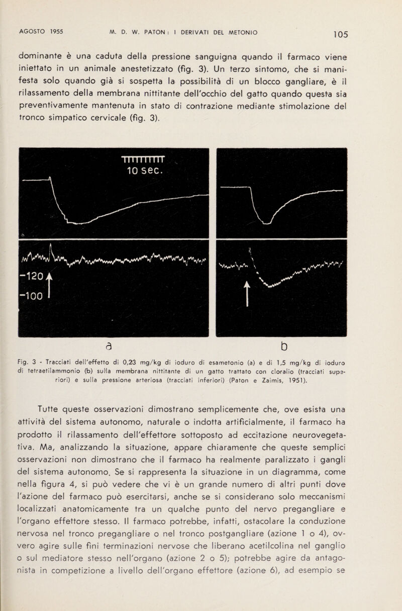 dominante e una caduta della pressione sangutgna quando il farmaco viene iniettato in un animale anestetizzato (fig. 3). Un terzo sintomo, che si mans- festa solo quando gia si sospetta la possibility di un blocco gangliare, e il rilassamento della membrana nittitante dell'occhio del gatto quando questa sia preventivamente mantenuta in stato di contrazione mediante stimolazione del tronco simpatico cervicale (fig. 3). a b Fig. 3 - Tracciati dell'effetto di 0,23 mg/kg di ioduro di esametonio (a) e di 1,5 mg/kg di ioduro di tetraetilammonio (b) sulla membrana nittitante di un gatto trattato con cloralio (tracciati supe¬ rior) e sulla pressione arteriosa (tracciati inferiori) (Paton e Zaimis, 1951). Tutte queste osservazioni dimostrano semplicemente che, ove esista una attivita del sistema autonomo, naturale o indotta artificialmente, il farmaco ha prodotto il rilassamento dell'effettore sottoposto ad eccitazione neurovegeta- tiva. Ma, analizzando la situazione, appare chiaramente che queste semplics osservazioni non dimostrano che il farmaco ha realmente paralizzato i gangla del sistema autonomo. Se si rappresenta la situazione in un diagramma, come nella figura 4, si puo vedere che vi e un grande numero di altri punti dove Tazione del farmaco puo esercitarsi, anche se si considerano solo meccanismi localizzati anatomicamente tra un qualche punto del nervo pregangliare e I'organo effettore stesso. II farmaco potrebbe, infatti, ostacolare la conduzione nervosa nel tronco pregangliare o nel tronco postgangliare (azione 1 o 4), ov- vero agire sulle fini terminazioni nervose che liberano acetilcolina nel ganglio o sol mediatore stesso nell'organo (azione 2 o 5); potrebbe agire da antago- nista in competizione a livello dell'organo effettore (azione 6), ad esempio se
