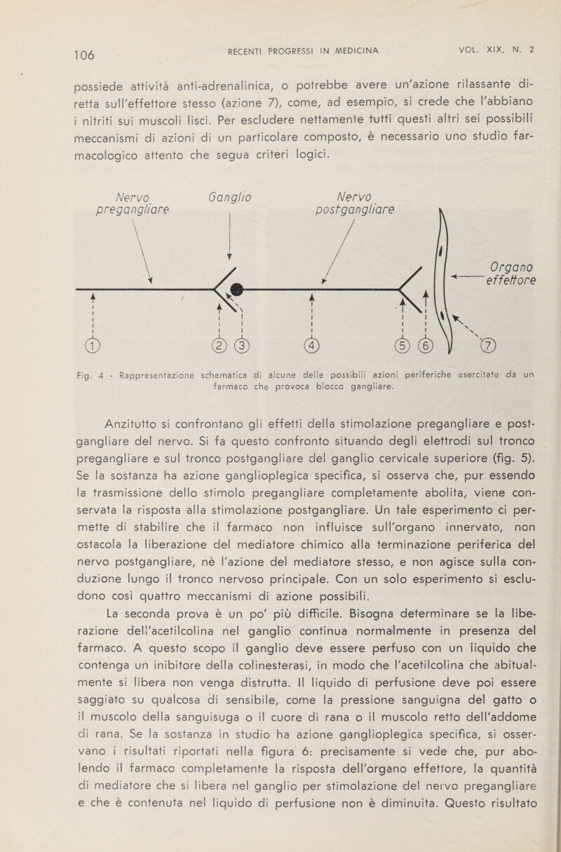 possiede attivita anti-adrenalinica, o potrebbe avere un'azione rilassante di- retta sull'effettore stesso (azione 7), come, ad esempio, si crede che I'abbiano i nitriti sui muscoli lisci. Per escludere nettamente tutti questi altri sei possibili meccanismi di azioni di un particolare composto, e necessario uno studio far- macologico attento che segua criteri logici. Nervo Oangho pregangliare Nervo Fig. 4 - Rappresentazione schematica di alcune deile possibili azioni periferiche esercitate da un farmaco che provoca blocco gangliare. Anzitutto si confrontano gii effetti della stimolazione pregangliare e post- gangliare del nervo. Si fa questo confront© situando degli elettrodi sul tronco pregangliare e sul tronco postgangliare del ganglio cervicale superiore (fig. 5). Se la sostanza ha azione ganglioplegica specifica, si osserva che, pur essendo la trasmissione dello stimolo pregangliare completamente abolita, viene con- servata la risposta alia stimolazione postgangliare. Un tale esperimento ci per- mette di stabilire che il farmaco non infiuisce sull'organo innervato, non ostacola la liberazione del mediatore chimico alia terminazione periferica del nervo postgangliare, ne I'azione del mediatore stesso, e non agisce sulla con- duzione lungo il tronco nervoso principale. Con un solo esperimento si esclu- dono cosi quattro meccanismi di azione possibili. La seconda prova e un po' piu difficile. Bisogna determinare se la libe¬ razione delfacetilcolina nel ganglio continua normalmente in presenza del farmaco. A questo scope il ganglio deve essere perfuso con un iiquido che contenga un inibitore della colinesterasi, in modo che I'acetilcolina che abitual- mente si libera non venga distrutta. II Iiquido di perfusione deve poi essere saggiato su qualcosa di sensibile, come la pressione sanguigna del gatto o i! muscolo della sanguisuga o il cuore di rana o il muscolo retto dell'addome di rana. Se la sostanza in studio ha azione ganglioplegica specifica, si osser- vano i risuitati riportati nella figura 6: precisamente si vede che, pur abo- lendo il farmaco completamente la risposta dell'organo effettore, la quantita di mediatore che si libera nel ganglio per stimolazione del nervo pregangliare e che e contenuta nel Iiquido di perfusione non e diminuita. Questo risultato