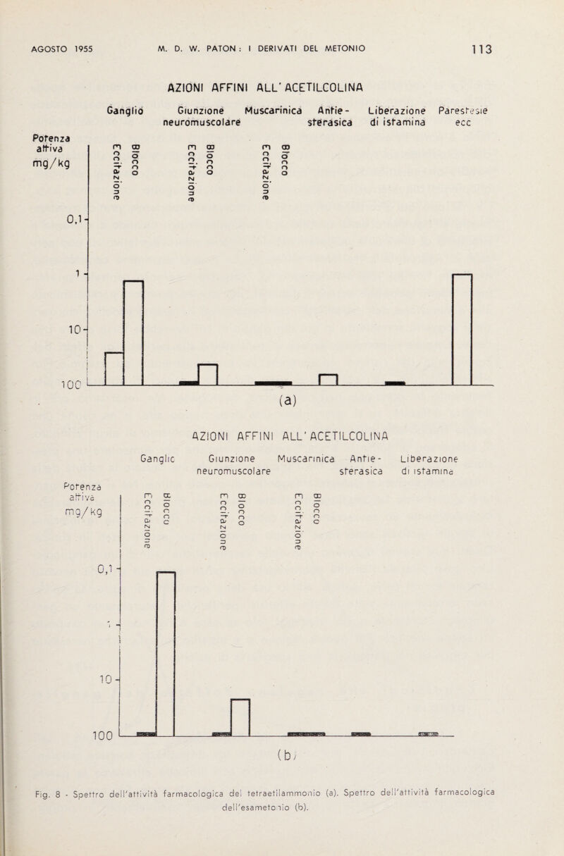 AZIONI AFFINI ALL'ACETILCOLINA Ganglio Giunzione Muscarinica Anfie- Liberazione Paresbesie neuromuseolare sterasica di isfamina ecc Pofenza (a) AZIONI AFFINI ALL'ACETILCOLINA Ganglic Giunzione neuromuseolare Muscarinica Anfie- sferasica Liberazione di isfamina Porenza Fig. 8 - Spettro dell'attivita farmacologica del tetraetilammonio (a). Spettro dell'attivita farmacologica dell'esameto iio (b).