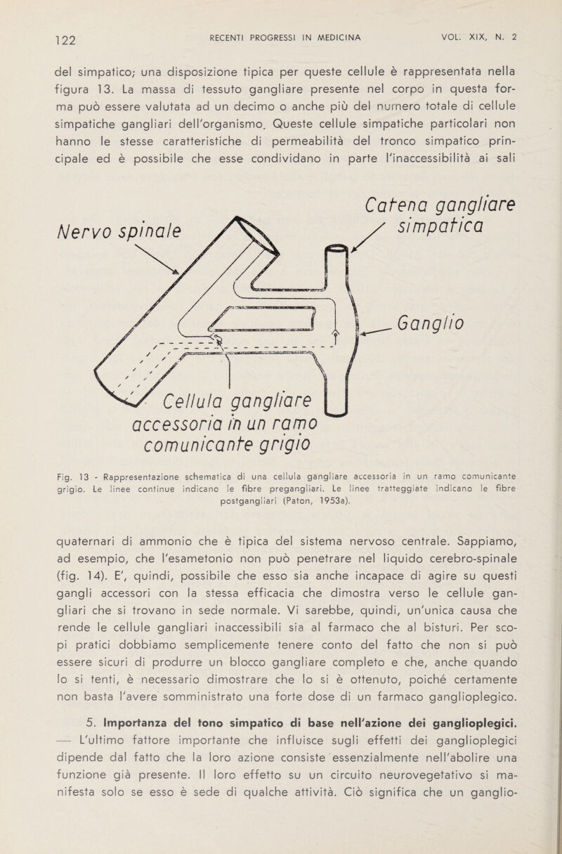 del simpatico; una disposizione tipica per queste cellule e rappresentata nella figura 13. La massa di tessuto gangliare presente nel corpo in questa for¬ ma puo essere valutata ad un decimo o anche piu del nurnero totale di cellule simpatiche gangliari dell'organismo. Queste cellule simpatiche particolari non hanno le stesse caratteristiche di permeabilita del tronco simpatico prin- cipale ed e possibile che esse condividano in parte I'inaccessibilita ai sali comunicante gngio Catena gangliare simpatica Ganglio Fig. 13 - Rappresentazione schematica di una ceil u I a gangliare accessoria in un ramo comunicante grigio. Le linee continue indicano le fibre pregangliari. Le linee tratteggiate indicano le fibre postgangliari (Paton, 1953a). quaternari di ammonio che e tipica del sistema nervoso centrale. Sappiamo, ad esempio, che I'esametonio non puo penetrare nel liquido cerebro-spinale (fig. 14). E', quindi, possibile che esso sia anche incapace di agire su questi gangli accessori con la stessa efficacia che dimostra verso le cellule gan¬ gliari che si trovano in sede normale. Vi sarebbe, quindi, un'unica causa che rende le cellule gangliari inaccessibili sia al farmaco che al bisturi. Per sco- pi pratici dobbiamo semplicemente tenere conto del fatto che non si puo essere sicuri di produrre un blocco gangliare completo e che, anche quando lo si tenti, e necessario dimostrare che lo si e ottenuto, poiche certamente non basta I'avere somministrato una forte dose di un farmaco ganglioplegico. 5. Importanza del tono simpatico di base nell'azione del ganglioplegici. — L'ultimo fattore importante che influisce sugli effetti dei ganglioplegici dipende dal fatto che la loro azione consiste essenzialmente nelTabolire una funzione gia presente. II loro effetto su un circuito neurovegetativo si ma- nifesta solo se esso e sede di qualche attivita. Cio significa che un ganglio-