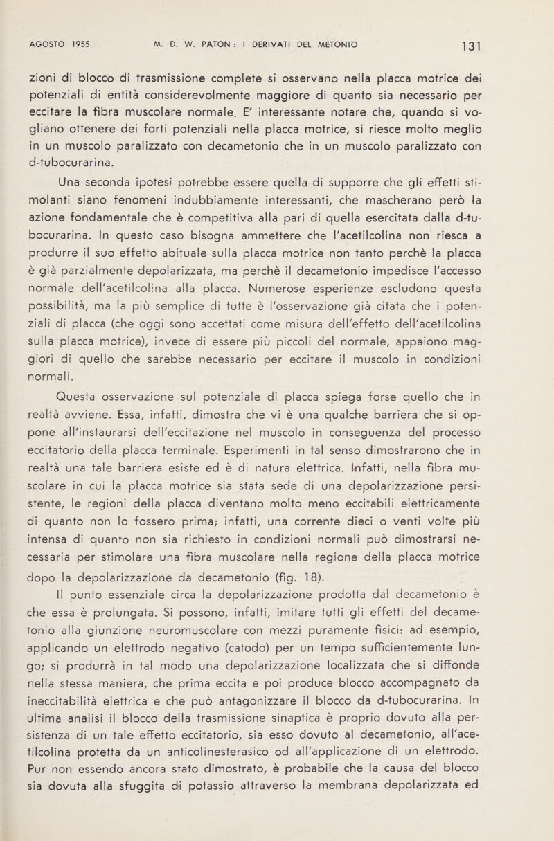 zioni di blocco di trasmissione complete si osservano nella placca mot rice dei potenziali di entita considerevolmente maggiore di quanto sia necessario per eccitare la fibra muscolare normale. E' interessante notare che, quando si vo- gliano ottenere dei forti potenziali nella placca motrice, si riesce molto meglio in un muscolo paralizzato con decametonio che in un muscolo paralizzato con d-tubocurarina. Una seconda ipotesi potrebbe essere quella di supporre che gIi effetti sti- molanti siano fenomeni indubbiamente interessanti, che mascherano pero la azione fondamentale che e competitiva alia pari di quella esercitata dalla d-tu¬ bocurarina. In questo caso bisogna ammettere che I'acetilcolina non riesca a produrre il suo effetto abituaie sulla placca motrice non tanto perche la placca e gia parzialmente depolarizzata, ma perche il decametonio impedisce I'accesso normale dell'acetilcolina alia placca. Numerose esperienze escludono questa possibiIita, ma la piu semplice di tutte e I'osservazione gia citata che i poten¬ ziali di placca (che oggi sono accettati come misura dell'effetto dell'acetilcolina sulla placca motrice), invece di essere piu piccoli del normale, appaiono mag- giori di quello che sarebbe necessario per eccitare il muscolo in condizioni normali. Questa osservazione sul potenziale di placca spiega forse quello che in realta avviene. Essa, infatti, dimostra che vi e una qualche barriera che si op- pone all'instaurarsi dell'eccitazione nel muscolo in conseguenza del processo eccitatorio della placca terminale. Esperimenti in tal senso dimostrarono che in realta una tale barriera esiste ed e di natura elettrica. Infatti, nella fibra mu¬ scolare in cui la placca motrice sia stata sede di una depolarizzazione persi- stente, le regioni della placca diventano molto meno eccitabili elettricamente di quanto non lo fossero prima; infatti, una corrente died o venti volte piu intensa di quanto non sia richiesto in condizioni normali puo dimostrarsi ne- cessaria per stimolare una fibra muscolare nella regione della placca motrice dopo la depolarizzazione da decametonio (fig. 18). II punto essenziale circa la depolarizzazione prodotta dal decametonio e che essa e prolungata. Si possono, infatti, imitare tutti gli effetti del decame¬ tonio all a giunzione neuromuscolare con mezzi puramente fisici: ad esempio, applicando un elettrodo negativo (catodo) per un tempo sufficientemente lun- go; si produrra in tal modo una depolarizzazione localizzata che si diffonde nella stessa maniera, che prima eccita e poi produce blocco accompagnato da ineccitabilita elettrica e che puo antagonizzare il blocco da d-tubocurarina. In ultima analisi il blocco della trasmissione sinaptica e proprio dovuto alia per- sistenza di un tale effetto eccitatorio, sia esso dovuto al decametonio, all'ace- tilcolina protetta da un anticolinesterasico od all'applicazione di un elettrodo. Pur non essendo ancora stato dimostrato, e probabile che la causa del blocco sia dovuta all a sfuggita d-i potassio attraverso la membrana depolarizzata ed