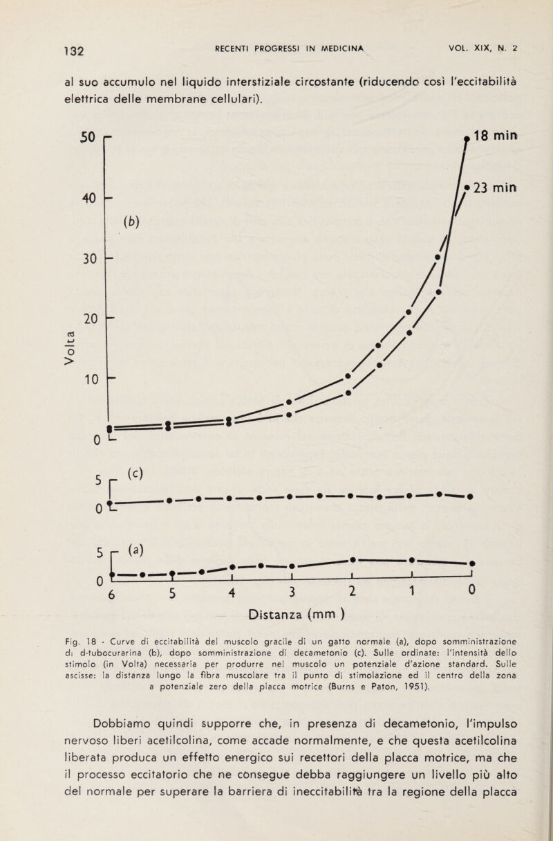 al suo accumulo nel liquido interstiziale circostante (riducendo cos) I'eccitabilita elettrica delle membrane ce!Iulari). Distanza (mm ) Fig. 18 - Curve di eccitabilita del muscolo gracile di un gatto normale (a), dopo somministrazione di d-tubocurarina (b), dopo somministrazione di decametonio (c). Sulle ordinate: I'intensita dello stimoio (in Volta) necessaria per produrre nel muscolo un potenziale d'azione standard. Sulle ascisse: la distanza lungo la fibra muscolare tra il punto di stimolazione ed il centro della zona a potenziale zero della placca motrice (Burns e Paton, 1951). Dobbiamo quindi supporre che, in presenza di decametonio, I'impulso nervoso liberi acetilcolina, come accade normalmente, e che questa acetilcolina liberata produca un effetto energico sui recettori della placca motrice, ma che il processo eccitatorio che ne consegue debba raggiungere un livello piu alto del normale per superare la barriera di meccitabiIitia tra la regione della placca