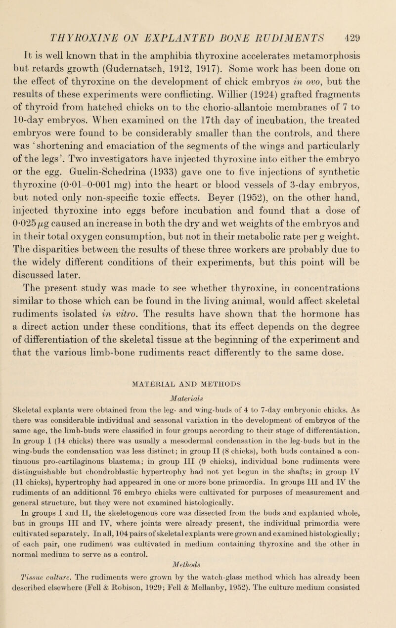 It is well known that in the amphibia thyroxine accelerates metamorphosis but retards growth (Gudernatsch, 1912, 1917). Some work has been done on the effect of thyroxine on the development of chick embryos in ovo, but the results of these experiments were conflicting. Willier (1924) grafted fragments of thyroid from hatched chicks on to the chorio-allantoic membranes of 7 to 10-day embryos. When examined on the 17th day of incubation, the treated embryos were found to be considerably smaller than the controls, and there was 1 shortening and emaciation of the segments of the wings and particularly of the legs’. Two investigators have injected thyroxine into either the embryo or the egg. Guelin-Schedrina (1933) gave one to five injections of synthetic thyroxine (0-01-0*001 mg) into the heart or blood vessels of 3-day embryos, but noted only non-specific toxic effects. Beyer (1952), on the other hand, injected thyroxine into eggs before incubation and found that a dose of 0-025 fig caused an increase in both the dry and wet weights of the embryos and in their total oxygen consumption, but not in their metabolic rate per g weight. The disparities between the results of these three workers are probably due to the widely different conditions of their experiments, but this point will be discussed later. The present study was made to see whether thyroxine, in concentrations similar to those which can be found in the living animal, would affect skeletal rudiments isolated in vitro. The results have shown that the hormone has a direct action under these conditions, that its effect depends on the degree of differentiation of the skeletal tissue at the beginning of the experiment and that the various limb-bone rudiments react differently to the same dose. MATERIAL AND METHODS Materials Skeletal explants were obtained from the leg- and wing-buds of 4 to 7-day embryonic chicks. As there was considerable individual and seasonal variation in the development of embryos of the same age, the limb-buds were classified in four groups according to their stage of differentiation. In group I (14 chicks) there was usually a mesodermal condensation in the leg-buds but in the wing-buds the condensation was less distinct; in group II (8 chicks), both buds contained a con¬ tinuous pro-cartilaginous blastema; in group III (9 chicks), individual bone rudiments were distinguishable but chondroblastic hypertrophy had not yet begun in the shafts; in group IV (11 chicks), hypertrophy had appeared in one or more bone primordia. In groups III and IV the rudiments of an additional 76 embryo chicks were cultivated for purposes of measurement and general structure, but they were not examined histologically. In groups I and II, the skeletogenous core was dissected from the buds and explanted whole, but in groups III and IV, where joints were already present, the individual primordia were cultivated separately. In all, 104 pairs of skeletal explants were grown and examined histologically; of each pair, one rudiment was cultivated in medium containing thyroxine and the other in normal medium to serve as a control. Methods Tissue culture. The rudiments were grown by the watch-glass method which has already been described elsewhere (Fell & Robison, 1929; Fell & Mellanby, 1952). The culture medium consisted