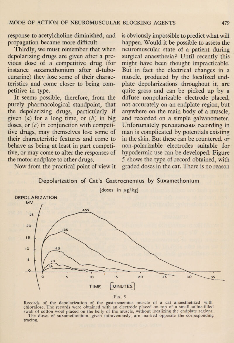 response to acetylcholine diminished, and propagation became more difficult. Thirdly, we must remember that when depolarizing drugs are given after a pre¬ vious dose of a competitive drug (for instance suxamethonium after d-tubo- curarine) they lose some of their charac¬ teristics and come closer to being com¬ petitive in type. It seems possible, therefore, from the purely pharmacological standpoint, that the depolarizing drugs, particularly if given (a) for a long time, or (b) in big doses, or (c) in conjunction with competi¬ tive drugs, may themselves lose some of their characteristic features and come to behave as being at least in part competi¬ tive, or may come to alter the responses of the motor endplate to other drugs. Now from the practical point of view it is obviously impossible to predict what will happen. Would it be possible to assess the neuromuscular state of a patient during surgical anaesthesia? Until recently this might have been thought impracticable. But in fact the electrical changes in a muscle, produced by the localized end- plate depolarizations throughout it, are quite gross and can be picked up by a diffuse nonpolarizable electrode placed, not accurately on an endplate region, but anywhere on the main body of a muscle, and recorded on a simple galvanometer. Unfortunately percutaneous recording in man is complicated by potentials existing in the skin. But these can be countered, or non-polarizable electrodes suitable for hypodermic use can be developed. Figure 5 shows the type of record obtained, with graded doses in the cat. There is no reason Depolarization of Cat’s Gastrocnemius by Suxamethonium [doses in /ig/kg] DEPOLARIZATION Fig. 5 Records of the depolarization of the gastrocnemius muscle of a cat anaesthetized with chloralose. The records were obtained with an electrode placed on top of a small saline-filled swab of cotton wool placed on the belly of the muscle, without localizing the endplate regions. The doses of suxamethonium, given intravenously, are marked opposite the corresponding tracing.
